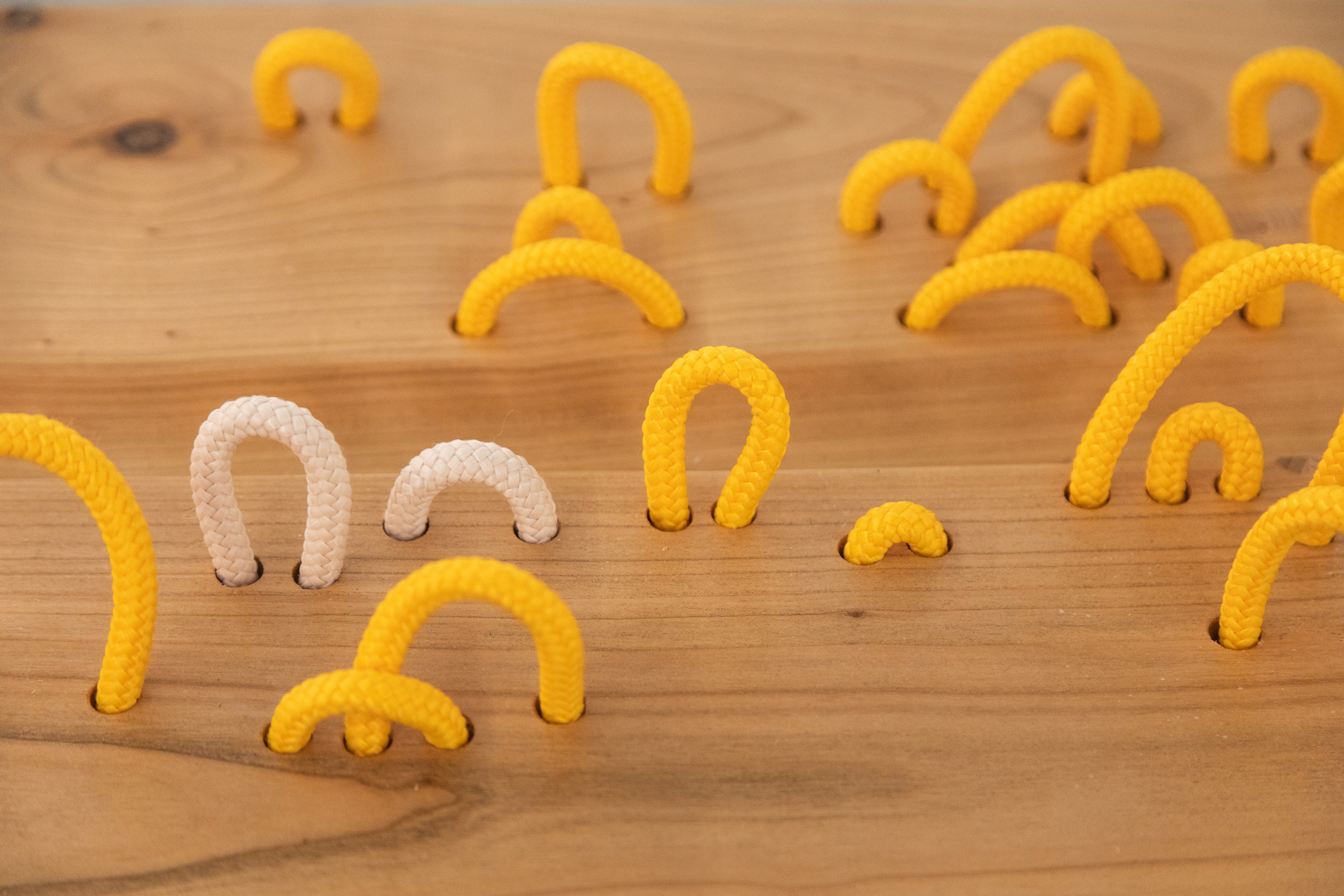 Regulus Regulus, 2025, close up