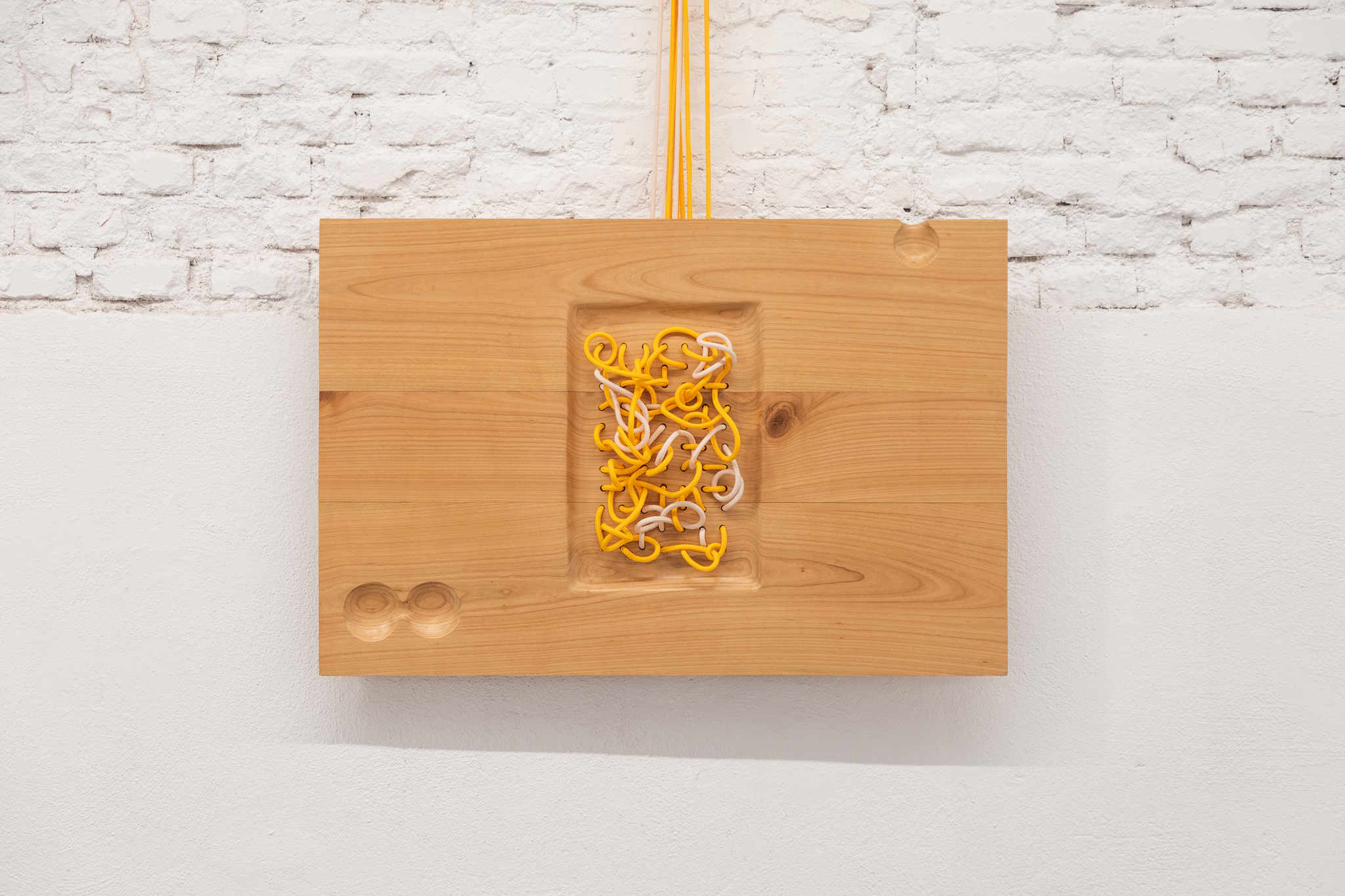 Hollow Bones, 2025, cherry wood, rope, 65x80x12cm