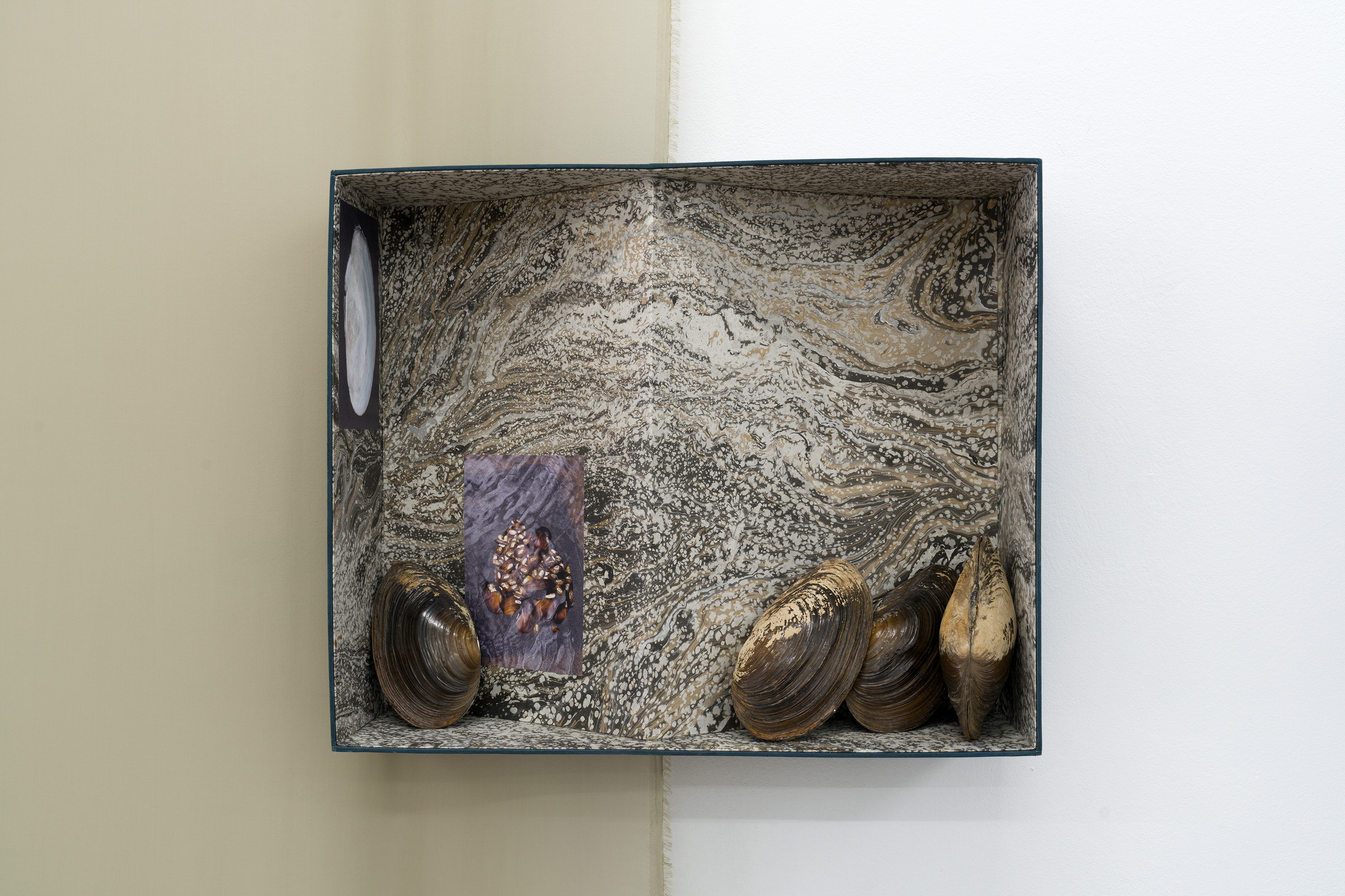  Boîte N°7 (Terrain), 2025. Cardboard, marbled paper, binding fabric, photographs, 60.5 x 50 x 16 cm. they built up the picture by Caroline Reveillaud, 16.01-28.02.26, at Komplot, Brussels. Image Lola Pertsowsky  