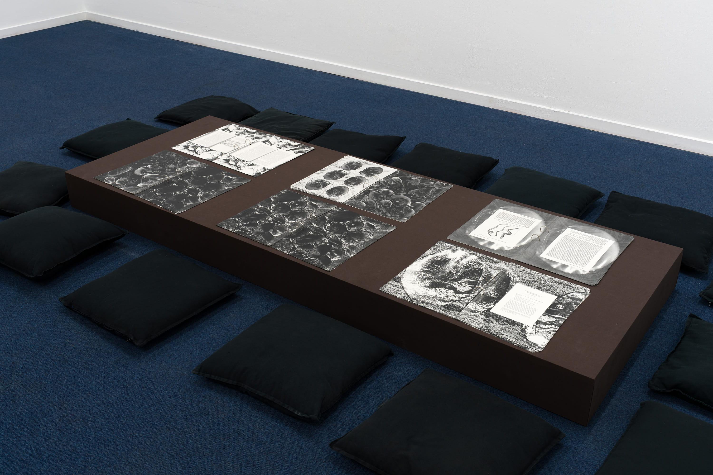 21 - Milieux, 2025, Reading table, binding fabric, rings, glossary, and facsimile books, 90 x 245 x 18 cm. they built up the picture by Caroline Reveillaud, 16.01-28.02.26, at Komplot, Brussels. Image Lola Pertsowsky  