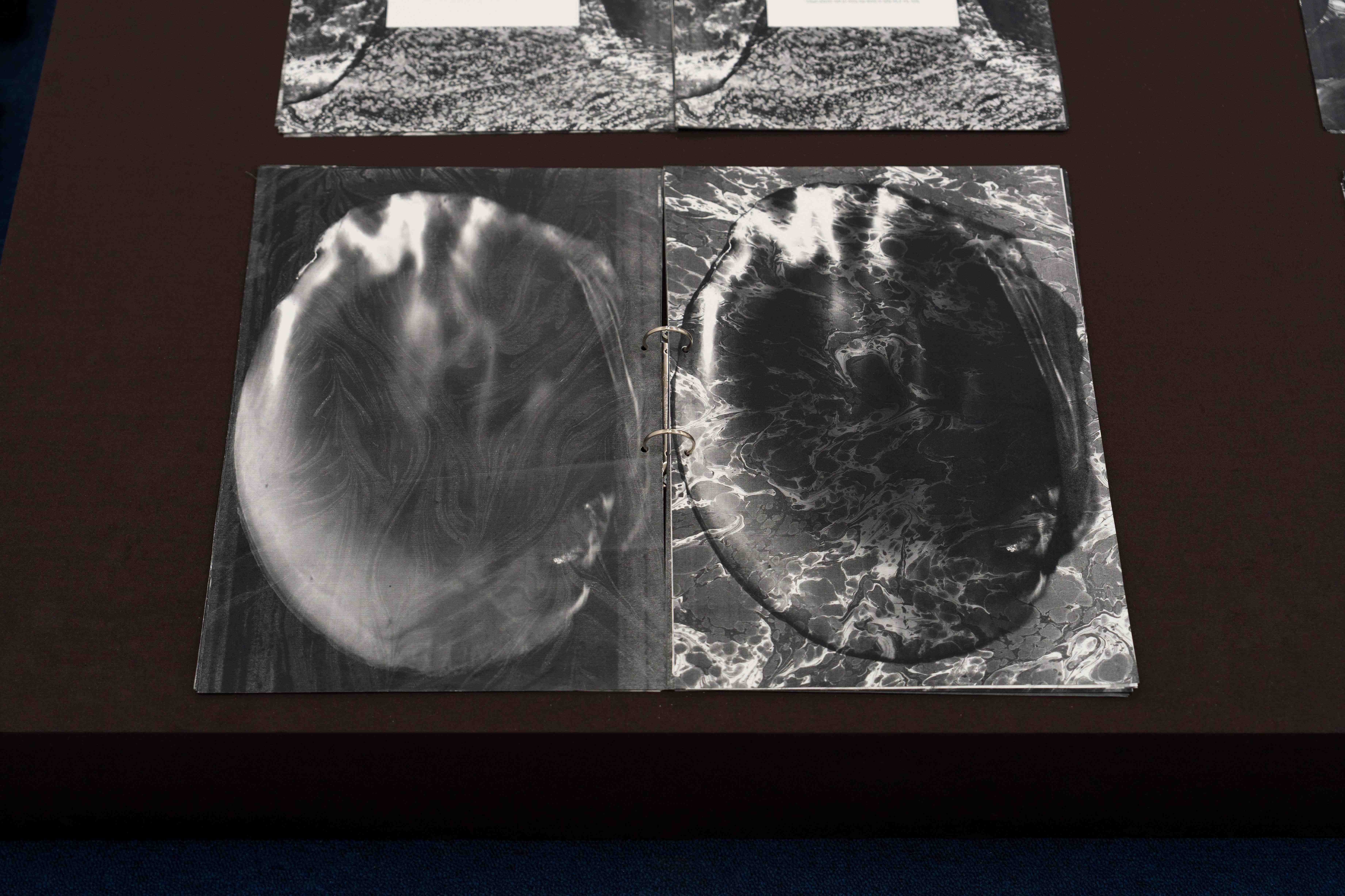 22 - Milieux, 2025, Reading table, binding fabric, rings, glossary, and facsimile books, 90 x 245 x 18 cm. they built up the picture by Caroline Reveillaud, 16.01-28.02.26, at Komplot, Brussels. Image Lola Pertsowsky