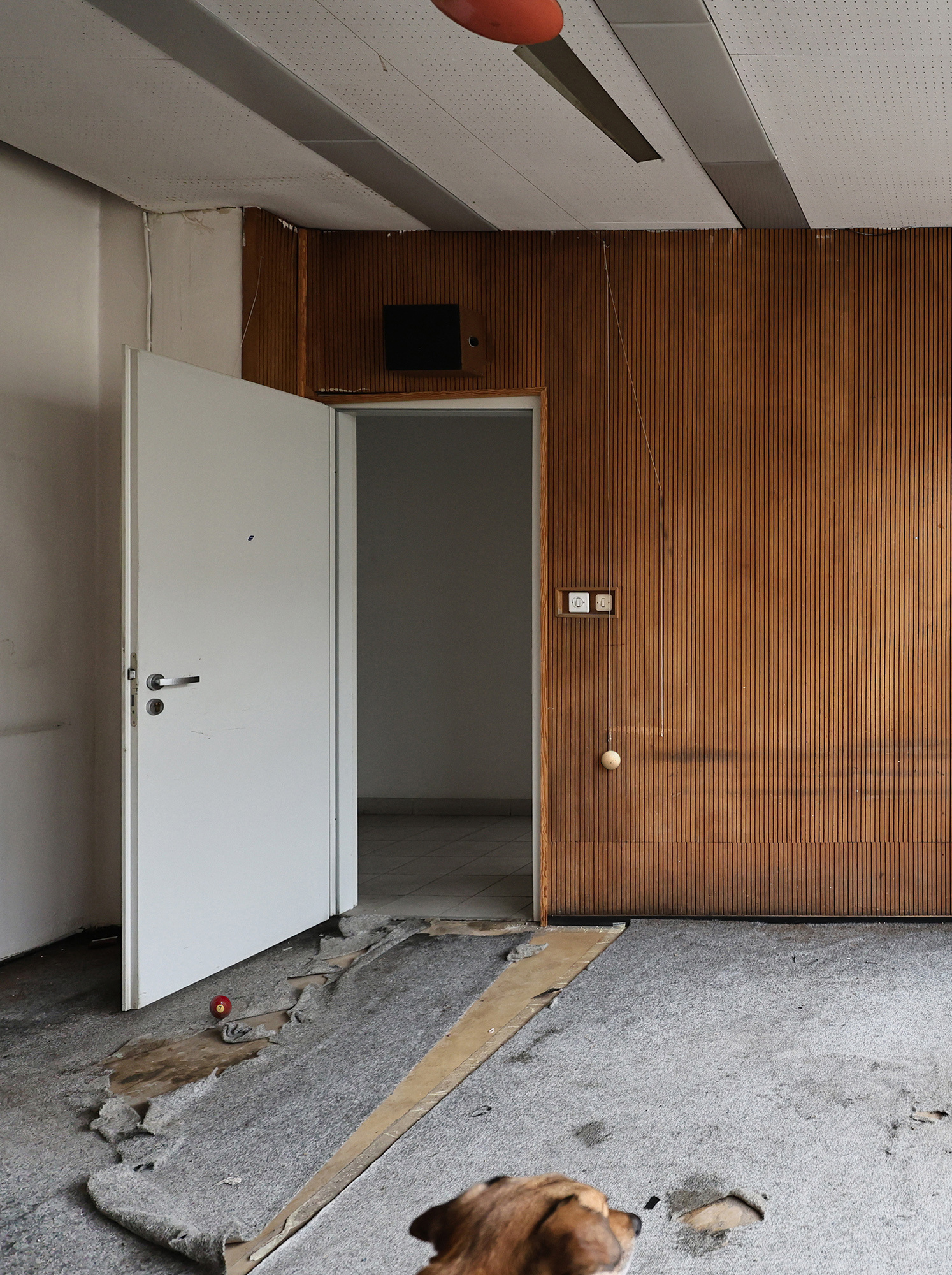 Andreea Anghel - Spatial intervention *string, billiard balls ⎼