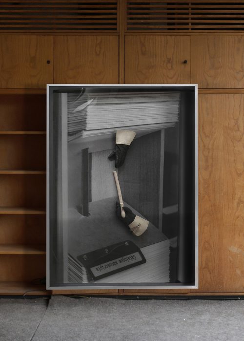 17 Andreea Anghel The Magic Trick