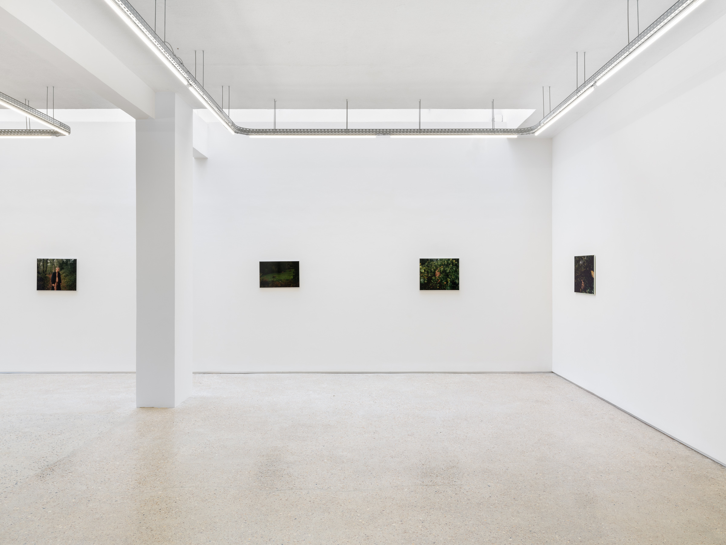 Alain Guiraudie, Crèvecœur, Paris, 2026.