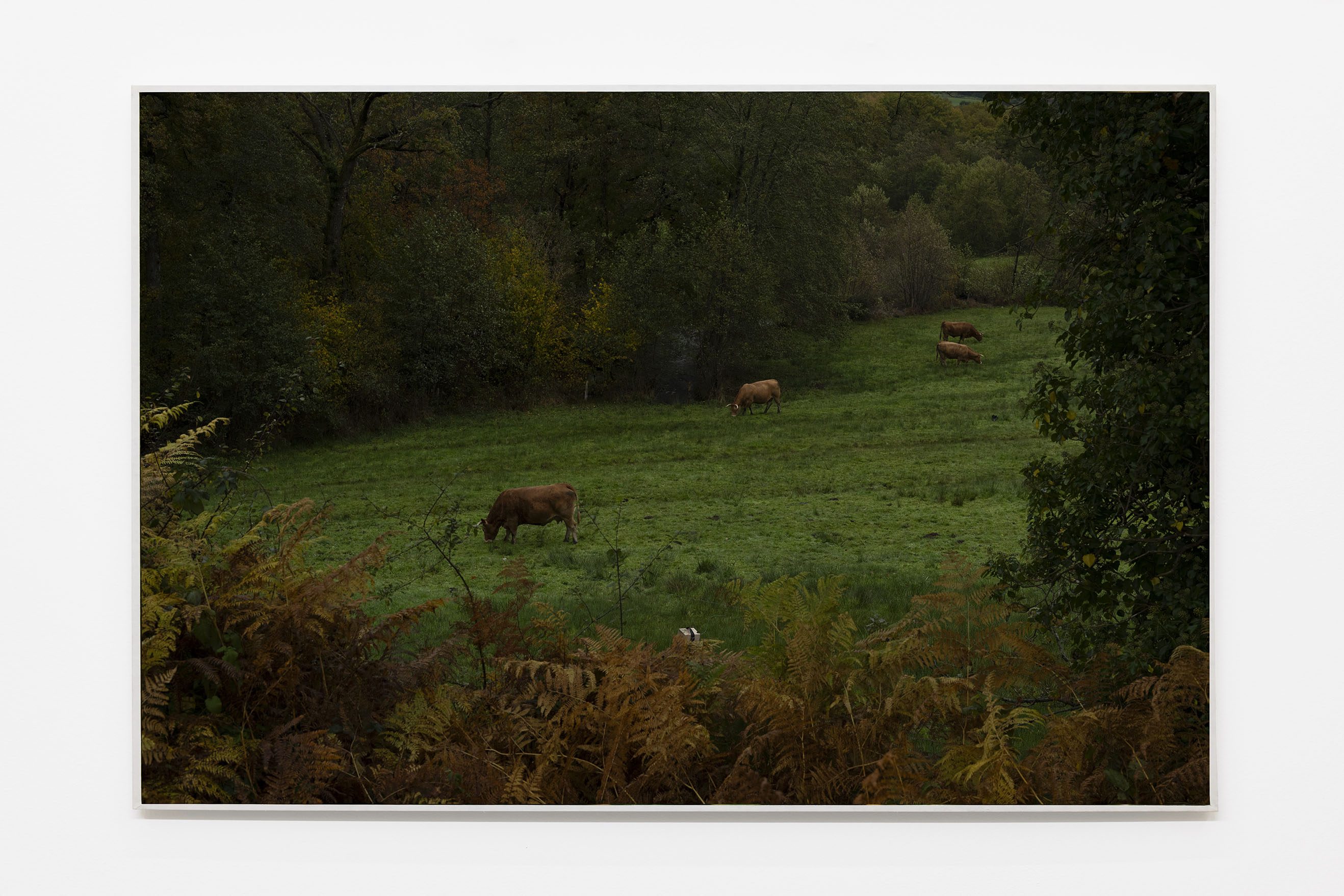 Alain Guiraudie, Sans titre, 2025. Courtesy of the artist and Crèvecœur, Paris.