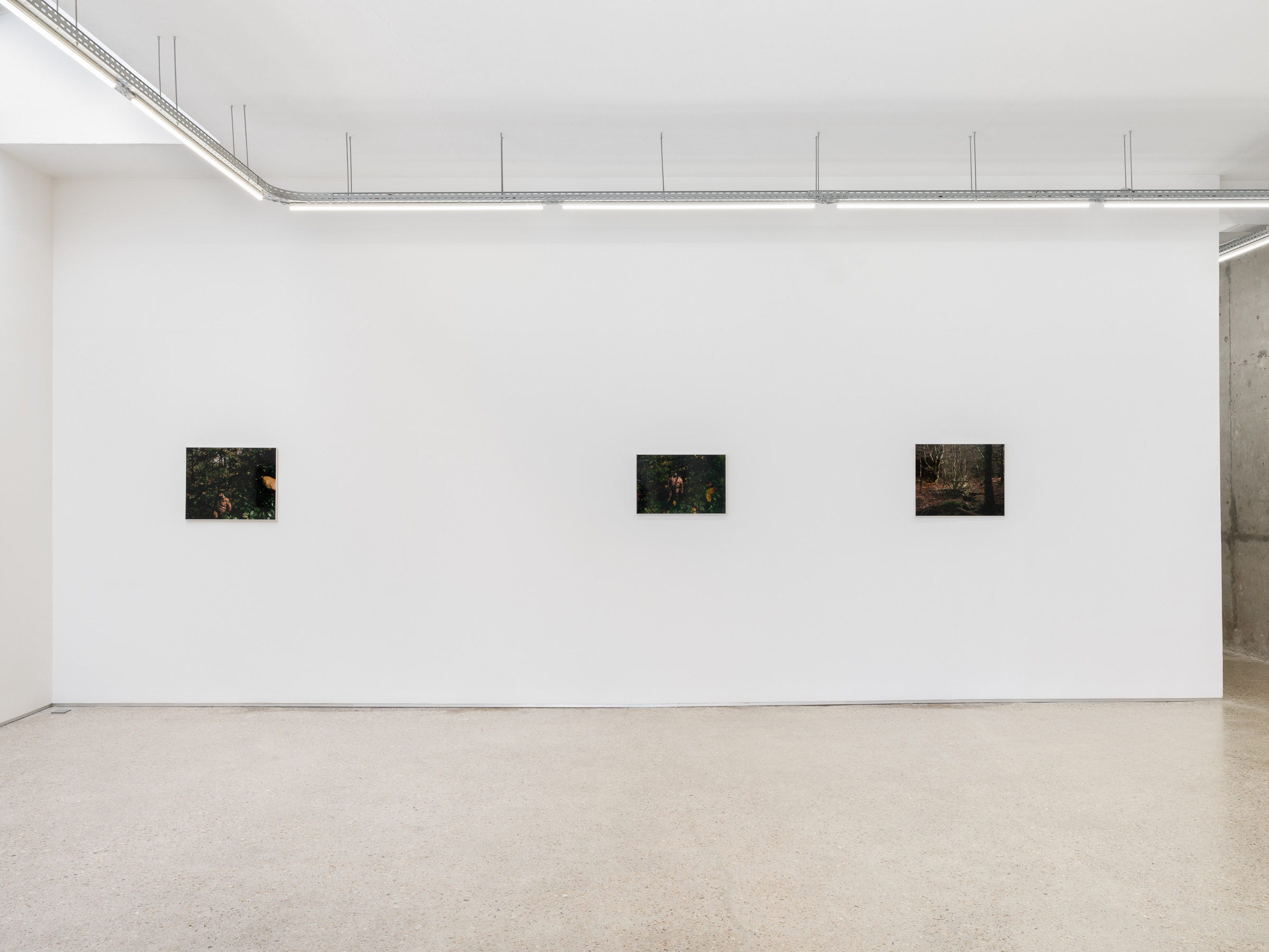 Alain Guiraudie, Crèvecœur, Paris, 2026.