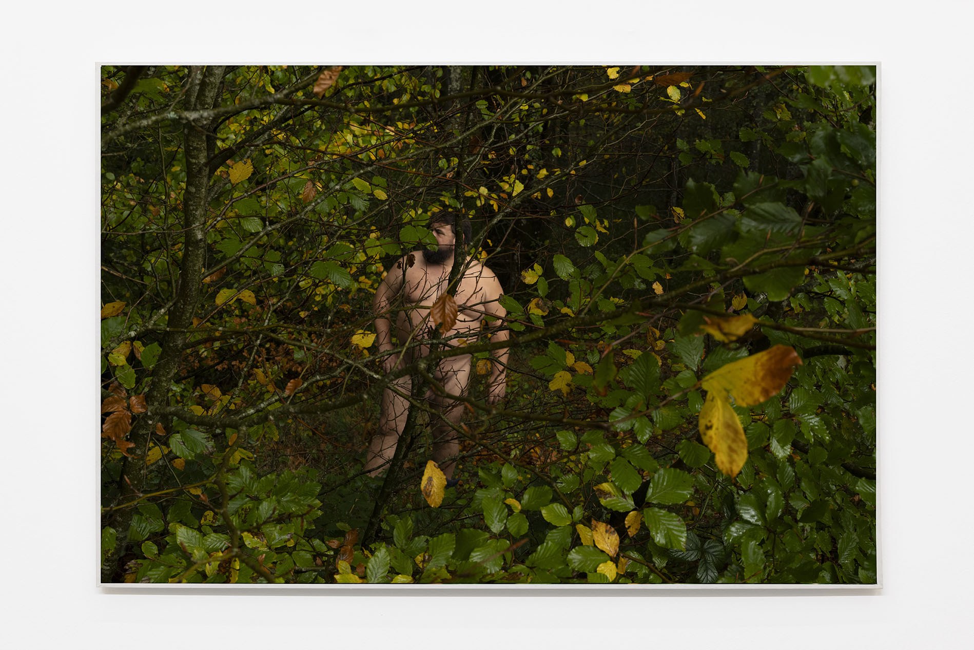 Alain Guiraudie, Sans titre, 2025. Courtesy of the artist and Crèvecœur, Paris.