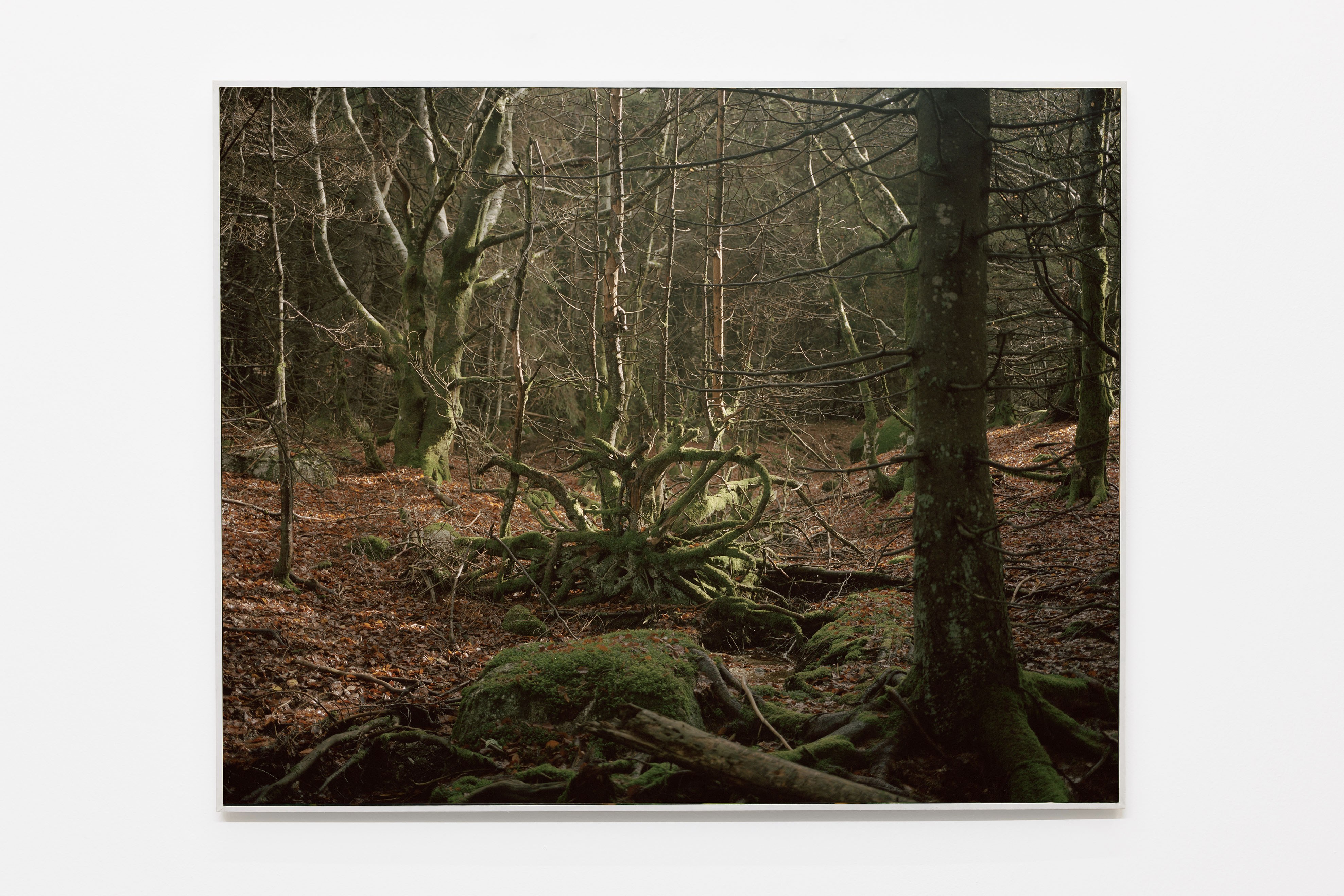 Alain Guiraudie, Sans titre, 2025. Courtesy of the artist and Crèvecœur, Paris.