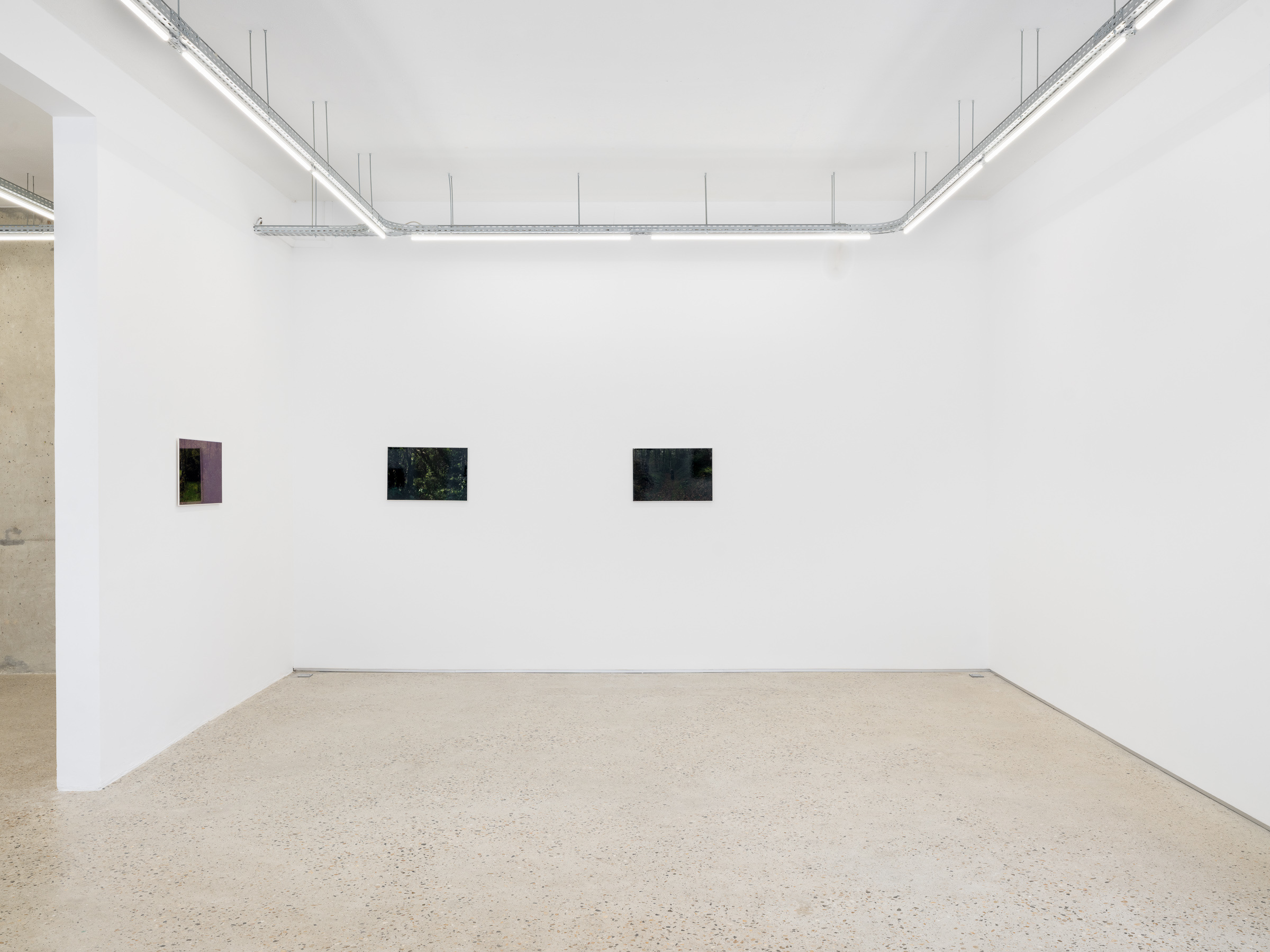 Alain Guiraudie, Crèvecœur, Paris, 2026.