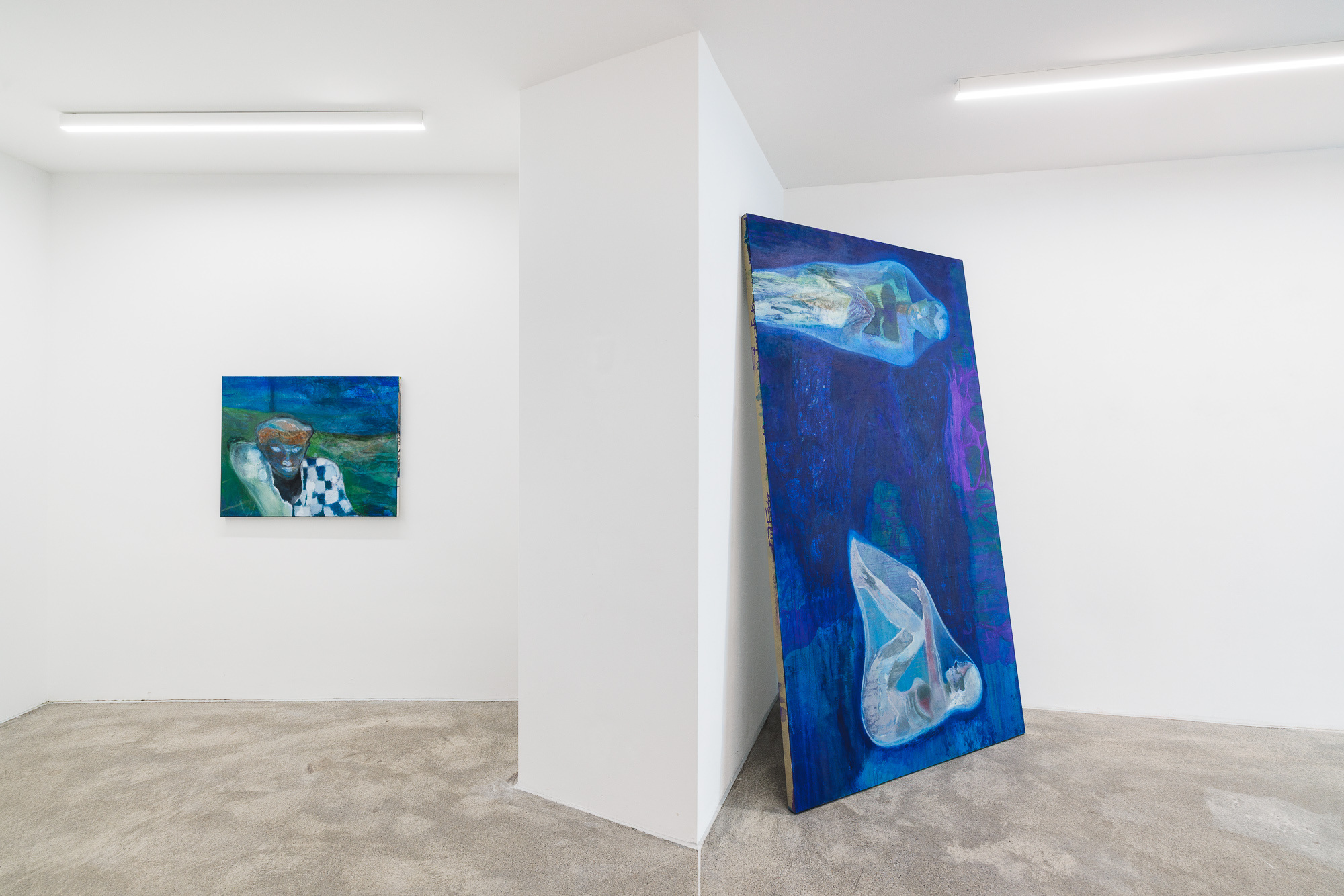 Installation View: Wolfgang Guenther, 'Symbiotic Mind' at COMMUNE, Vienna