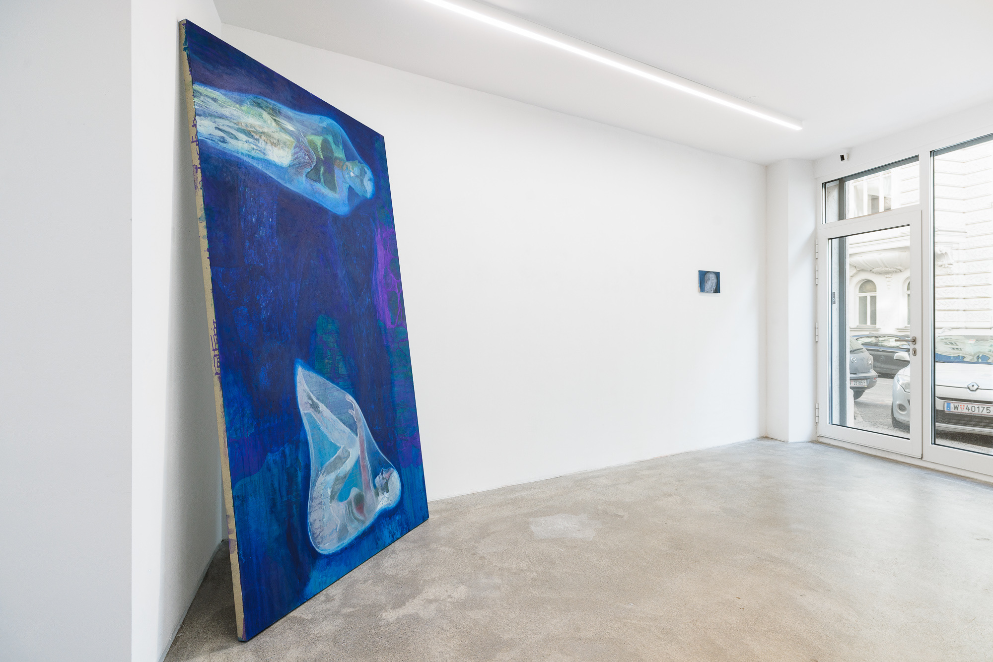 Installation View: Wolfgang Guenther, 'Symbiotic Mind' at COMMUNE, Vienna
