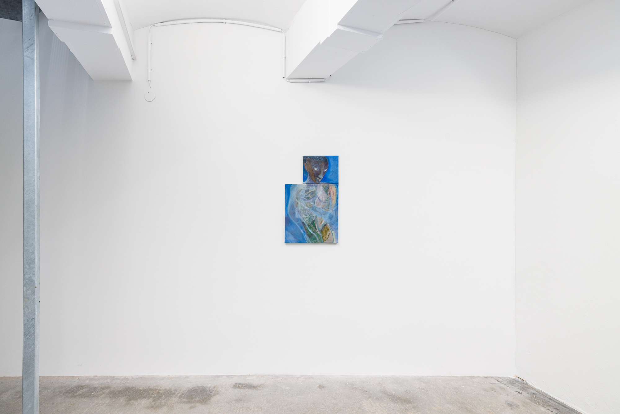 Installation View: Wolfgang Guenther, 'Symbiotic Mind' at COMMUNE, Vienna