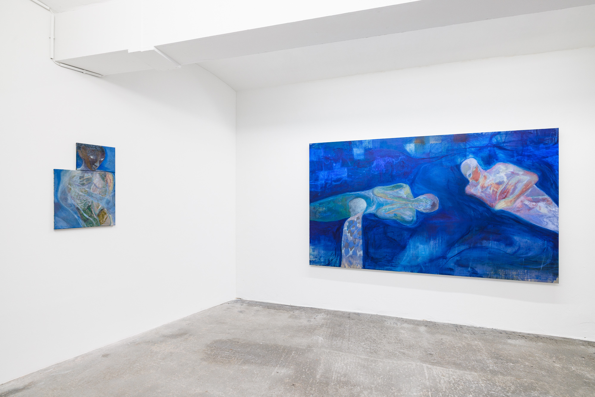 Installation View: Wolfgang Guenther, 'Symbiotic Mind' at COMMUNE, Vienna