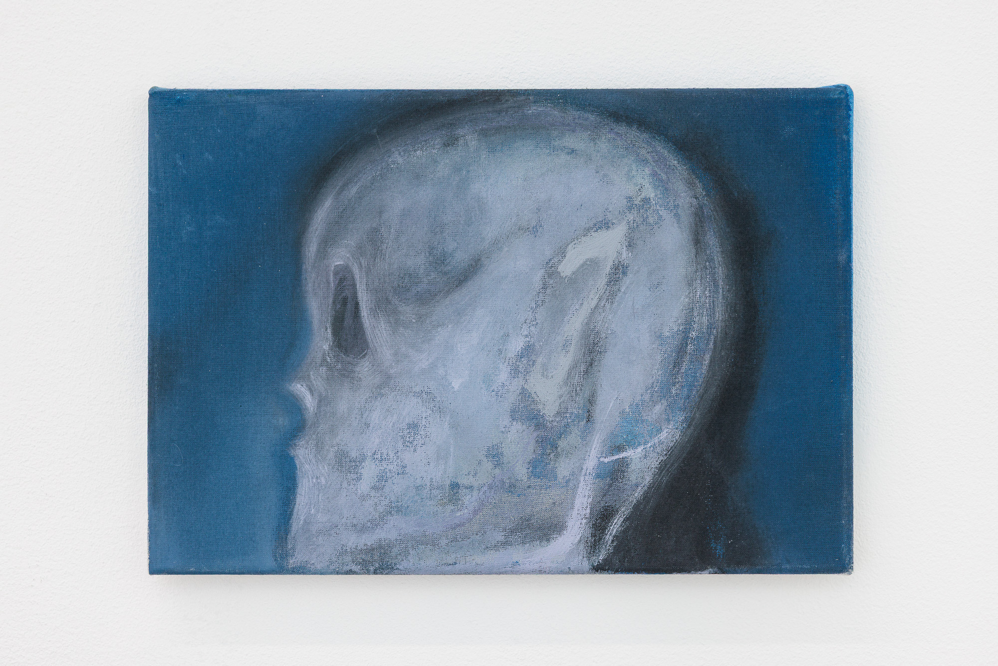 Wolfgang Guenther, Untitled (Skull), 2025, acrylic on canvas, 22 x 32cm