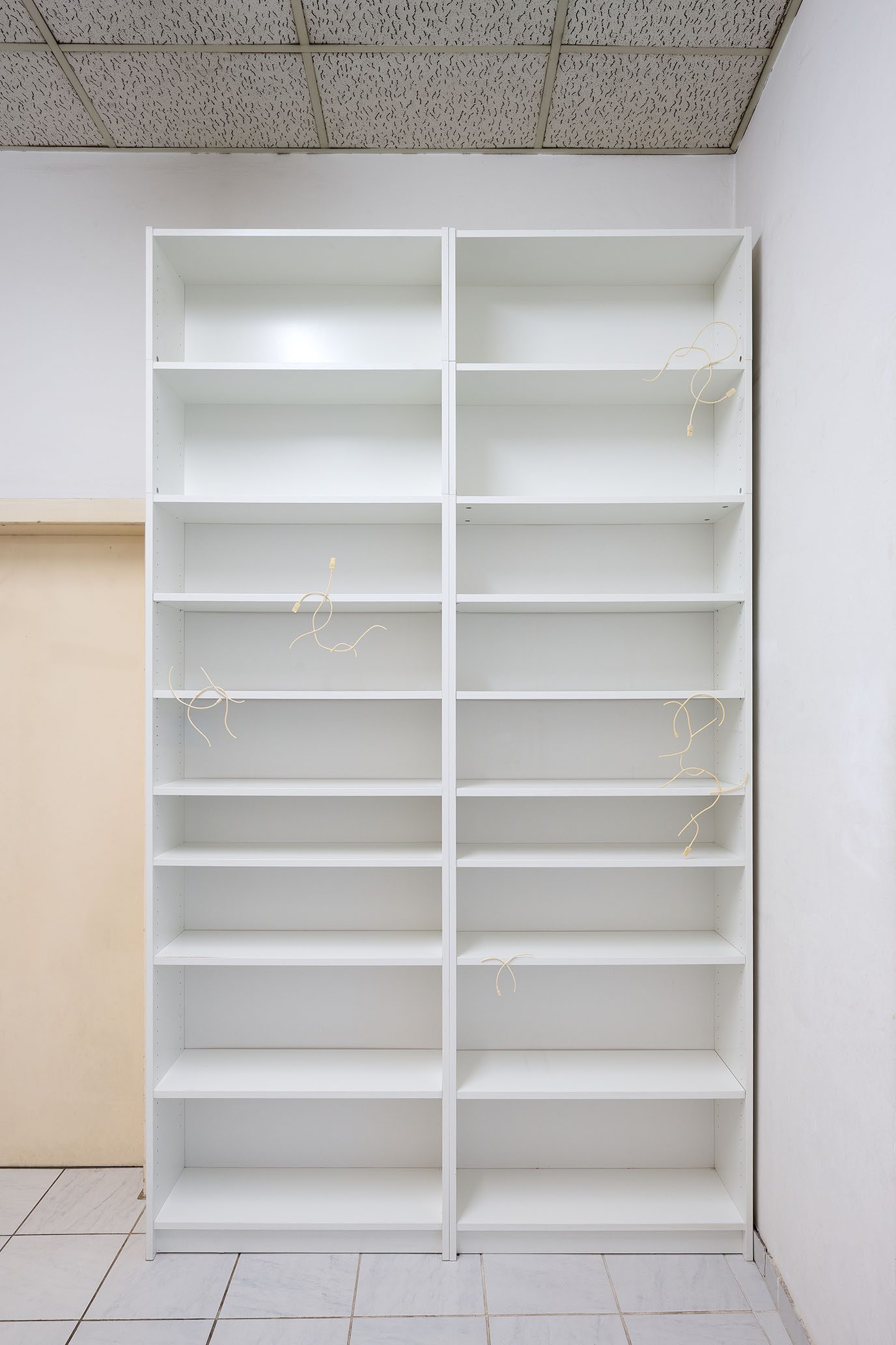 Web, 2025, PU casting resin, various dimensions