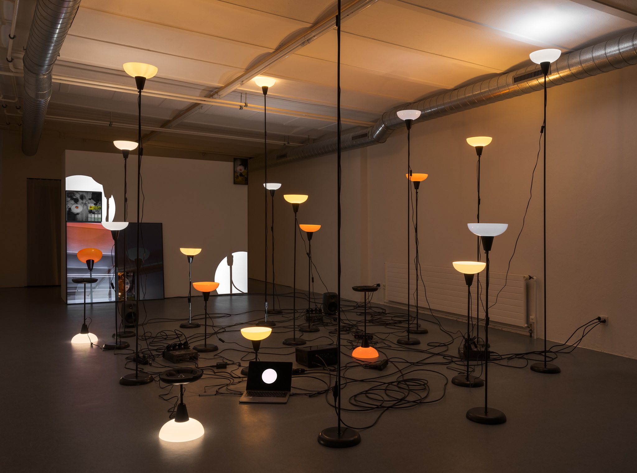 Daria Blum, HOME SCREEN, exhibition view, marytwo, 2026. Photo: Julian Blum