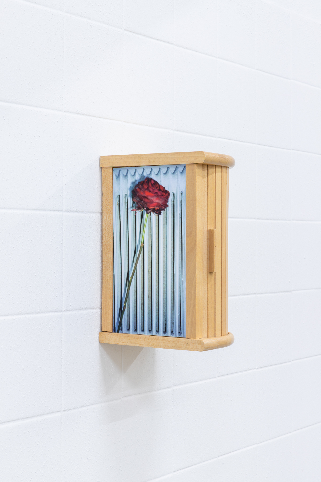 Hertta Kiiski & Janne Punkari: The Rose by the Radiator, 2025, wooden breadbox, pigment print on aluminium, 30 x 16 x 20 cm