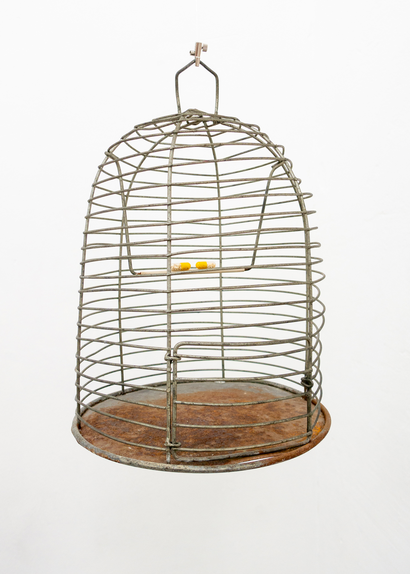 Kurt von Bley · L‘enfer est intime · Birdcage, tablets · ø25 × 37 cm · 2016