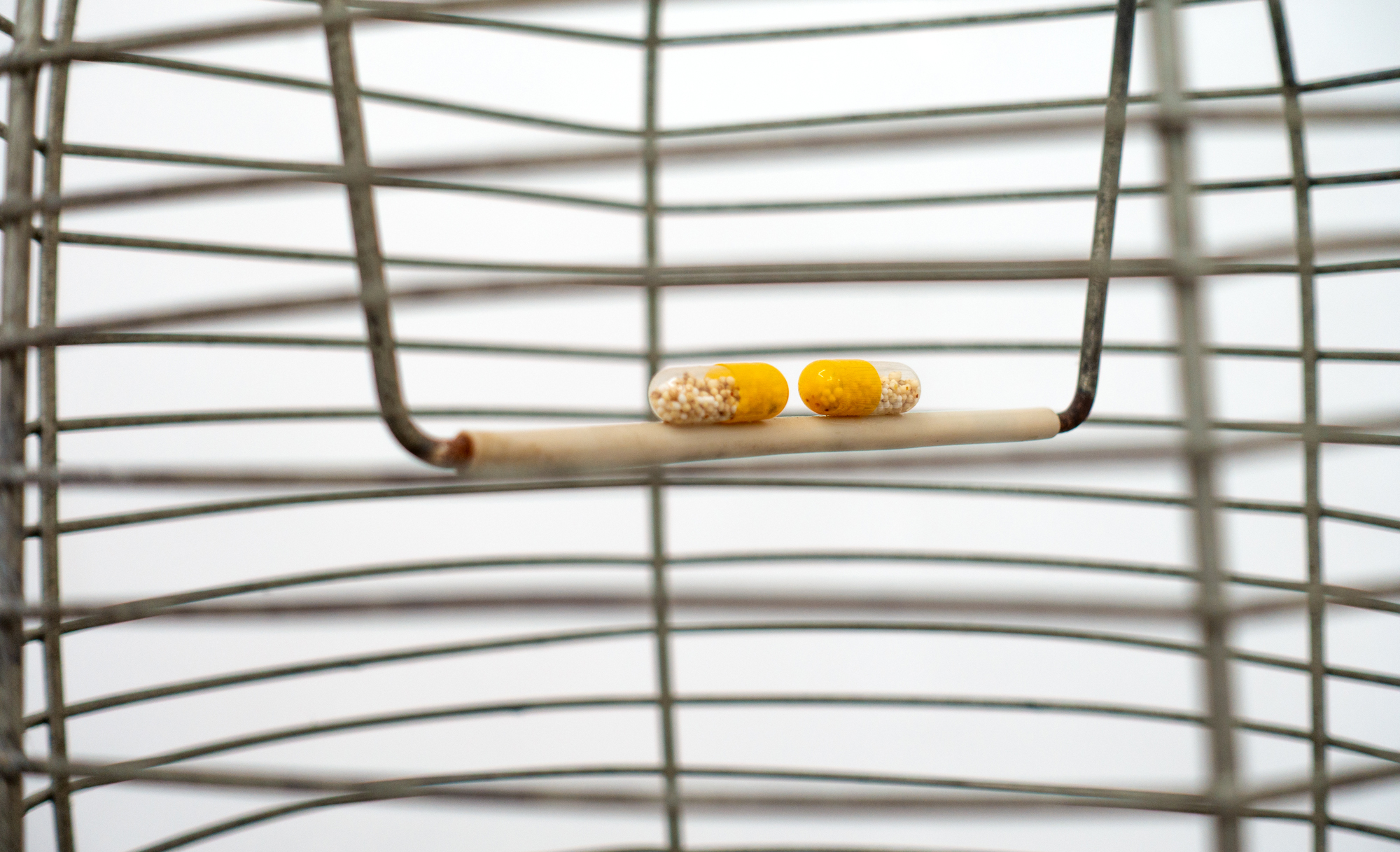 Kurt von Bley · L‘enfer est intime · Detail