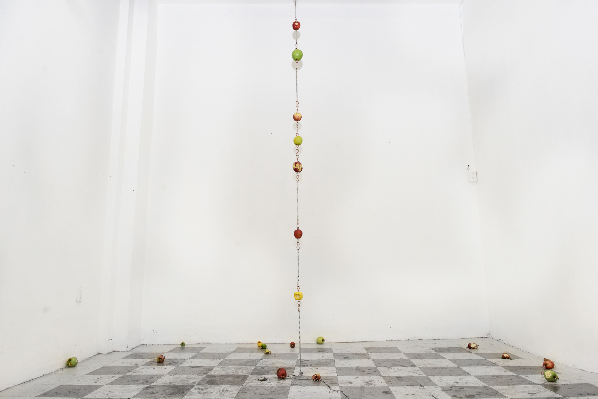 Umico Niwa, "Apple Picking (intimacy generator)", 2026, copper, apples, stainless steel chain