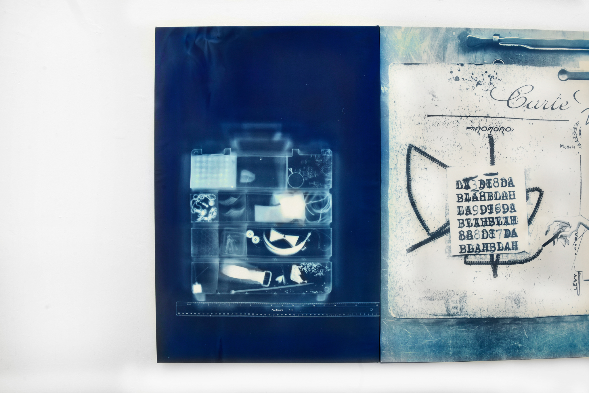 Henry Belden, "Case Study", 2026, cyanotype on cotton, 81 x 53 cm