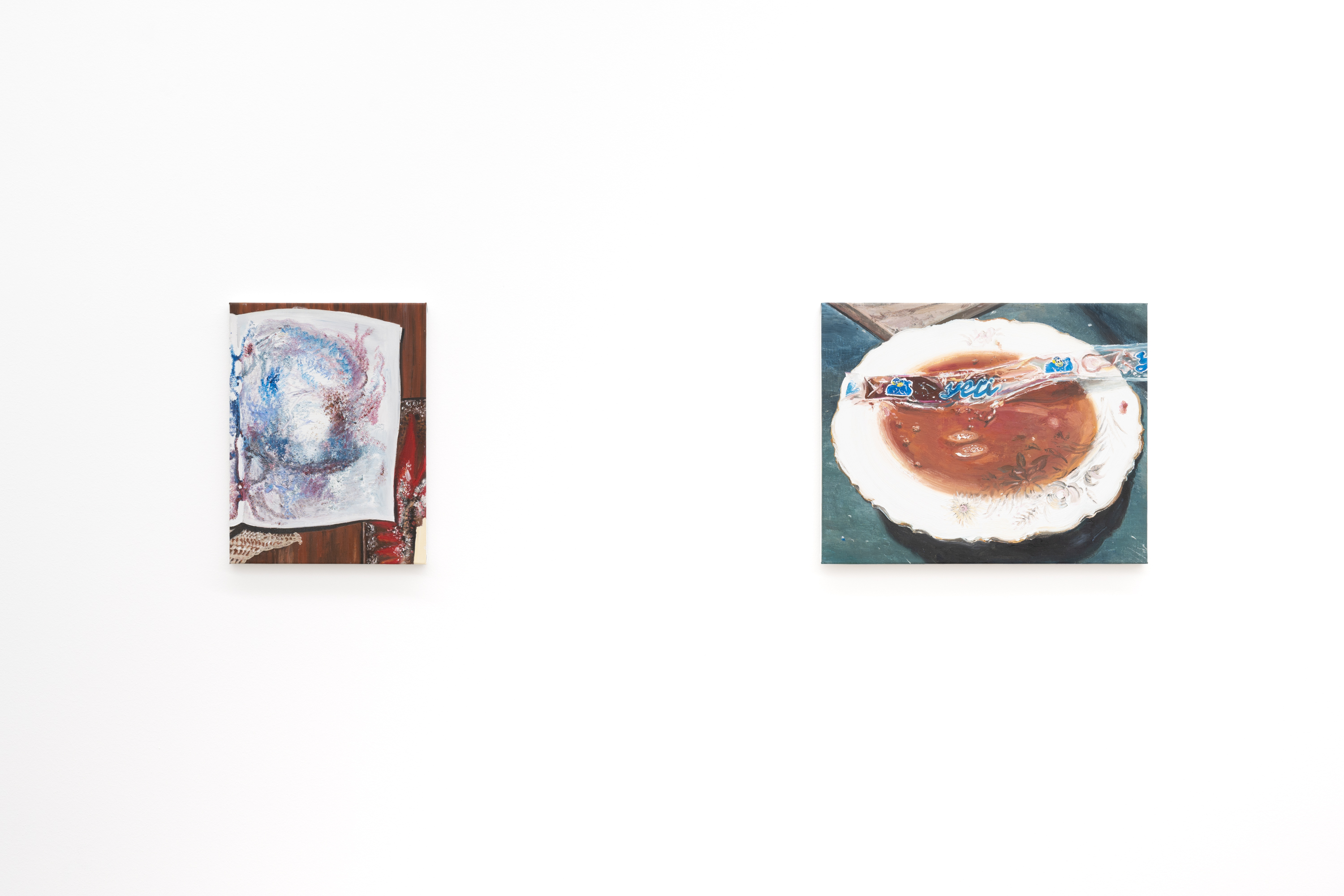 Mireille Blanc, Paillettes, 2022; Yeti, 2024. Courtesy of the artist and Galerie Anne-Sarah Bénichou. Ausstellungsansicht / Installation view Kunsthaus Baselland 2026. © 2026, ProLitteris, Zurich. Foto / Photo: Finn Curry / Kunsthaus Baselland