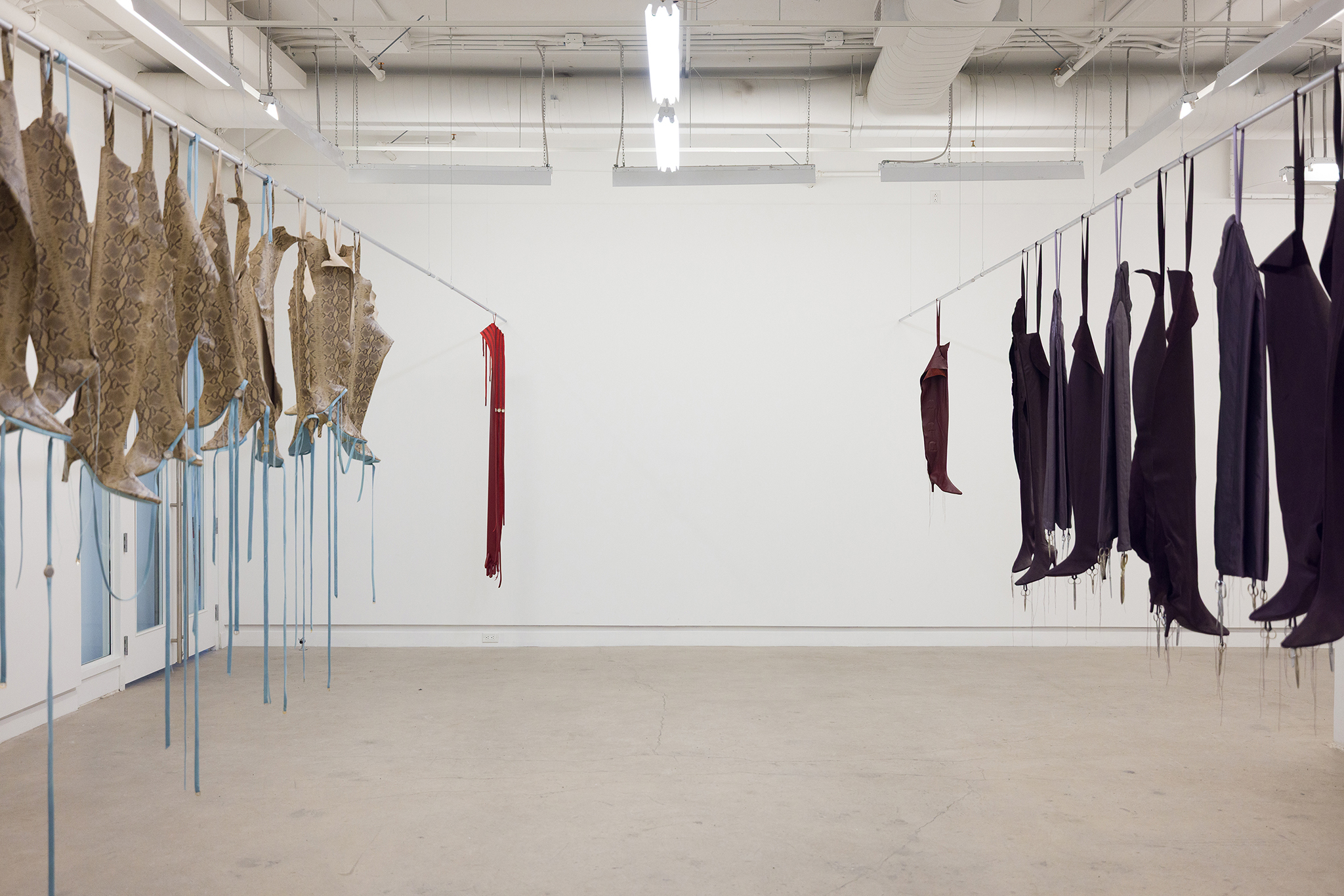installation view of Split Hairs, 2026 at Diagonale