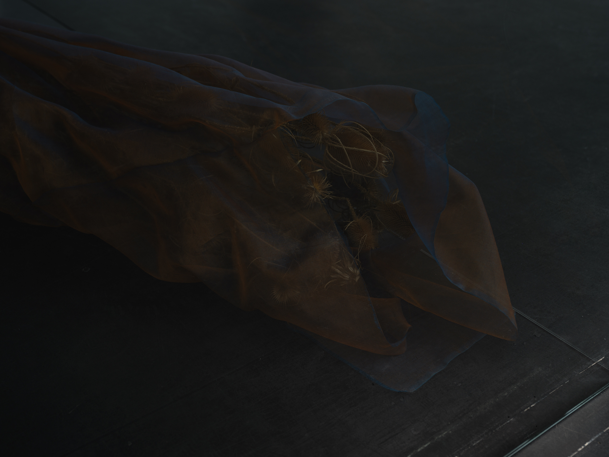 Marie Matusz, Coated in Compassion, 2022 | Courtesy of max goelitz, copyright the artist | Photo: Marjorie Brunet Plaza