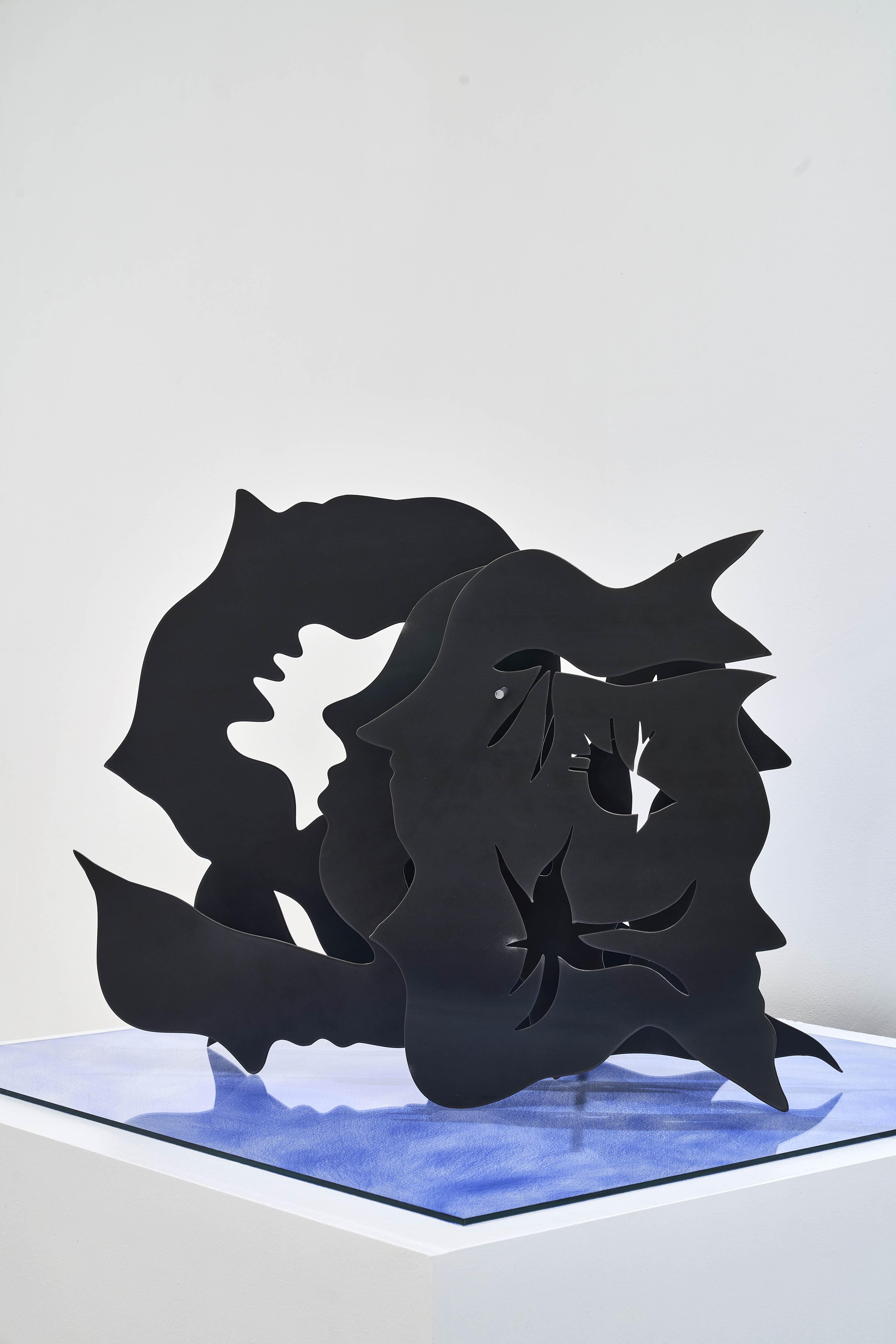 Aris, Cluster I, Ph. Fabrizio Cicconi, Courtesy of SpazioC21