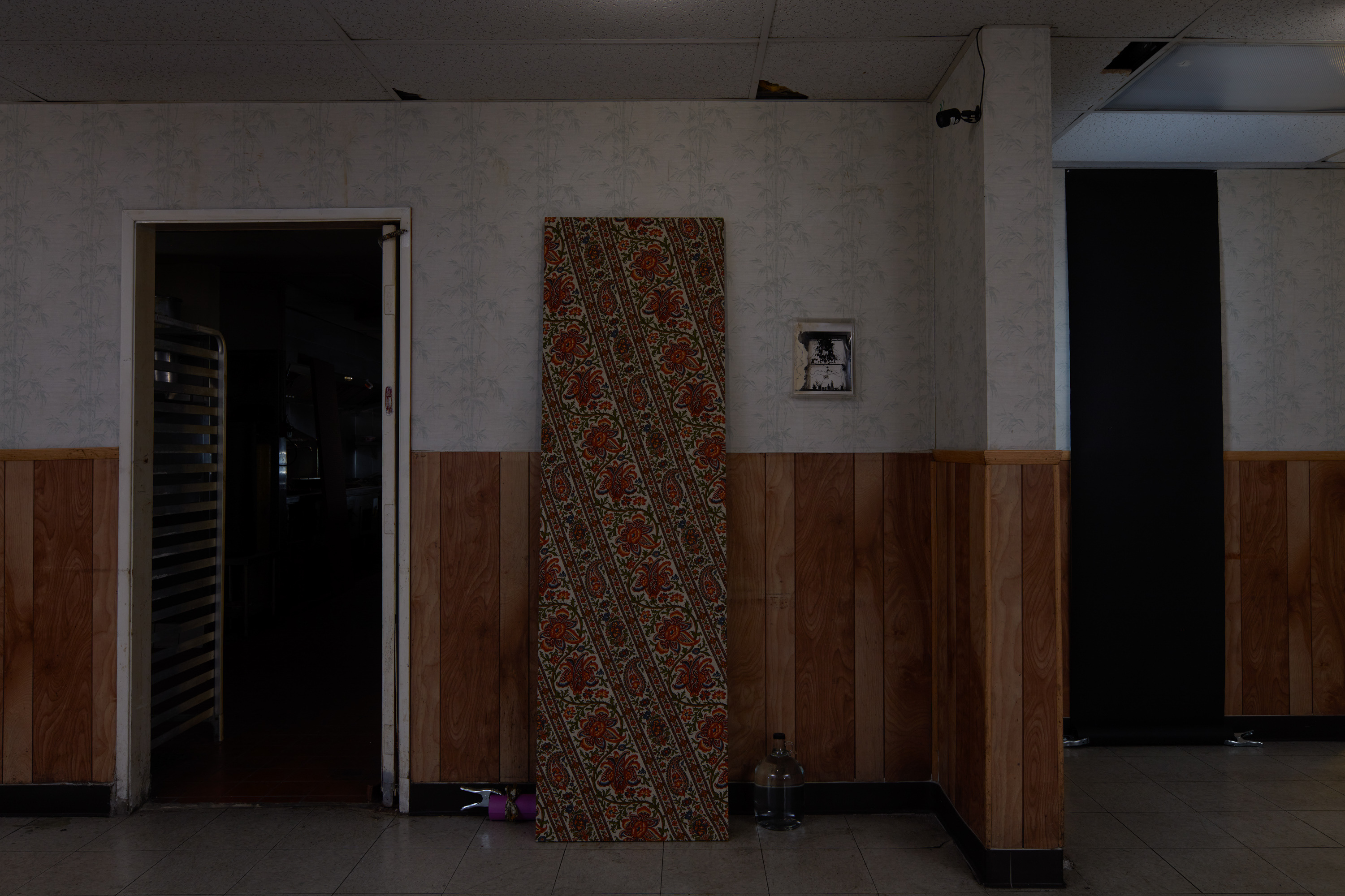 Laurel M. Ross, damaged silver gelatin prints circa 1982, acrylic boxes / Ruyell Ho, damaged 8x10 inch transparencies from Communigrafix, Chicago, circa 1982, acrylic, lightboxes / Doors, fabrics, background paper, tacks, clamps, safelights, jugs, water