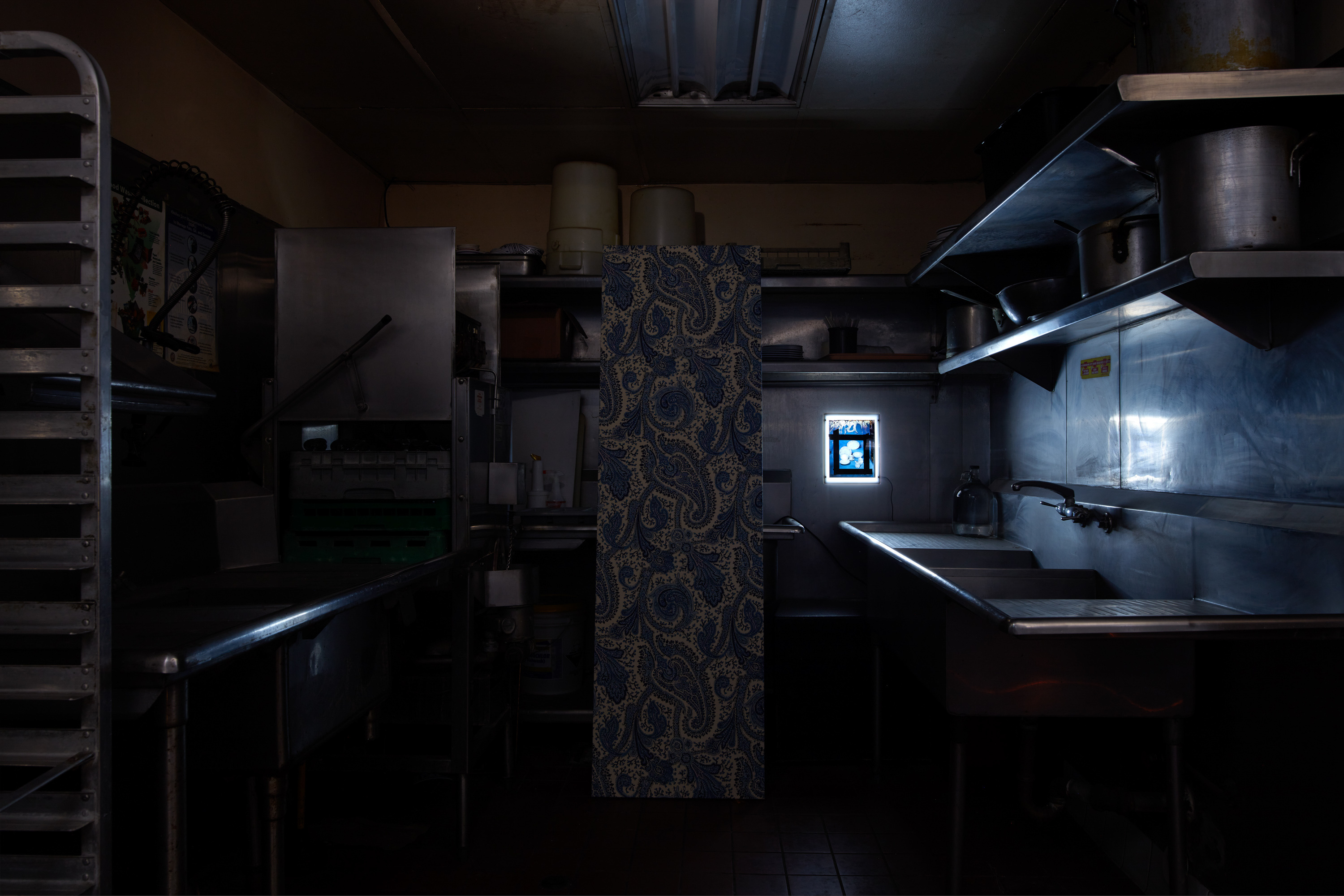 Laurel M. Ross, damaged silver gelatin prints circa 1982, acrylic boxes / Ruyell Ho, damaged 8x10 inch transparencies from Communigrafix, Chicago, circa 1982, acrylic, lightboxes / Doors, fabrics, background paper, tacks, clamps, safelights, jugs, water