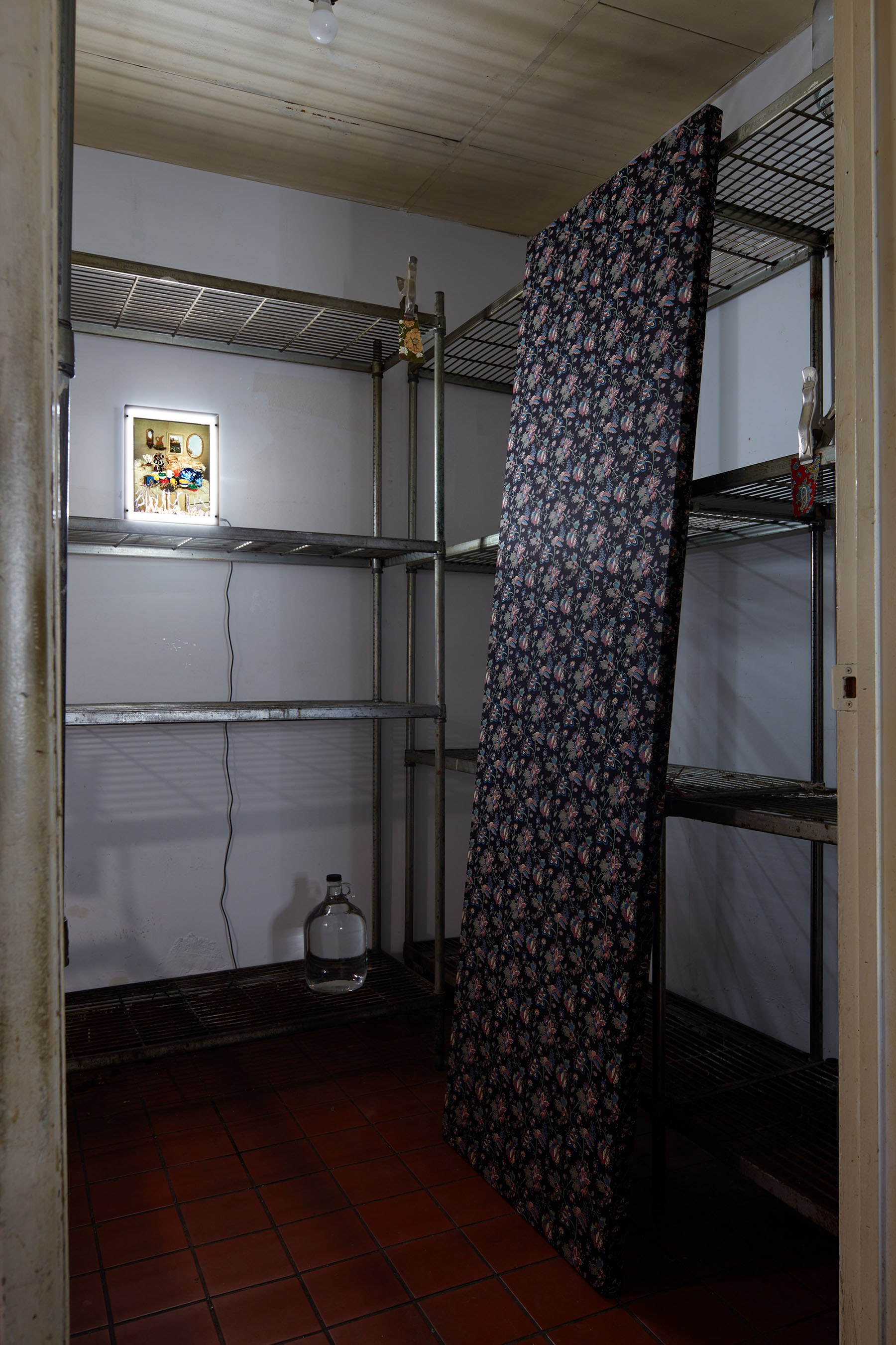 Laurel M. Ross, damaged silver gelatin prints circa 1982, acrylic boxes / Ruyell Ho, damaged 8x10 inch transparencies from Communigrafix, Chicago, circa 1982, acrylic, lightboxes / Doors, fabrics, background paper, tacks, clamps, safelights, jugs, water