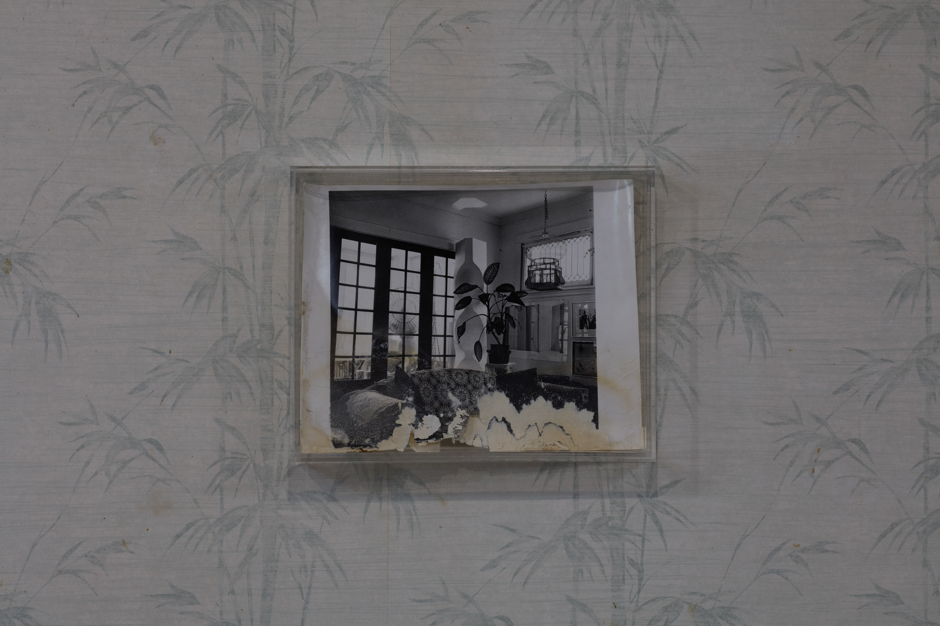 Laurel M. Ross, selected flood-damaged silver gelatin prints from the series “Places In My House,” circa 1982, acrylic shadowboxes