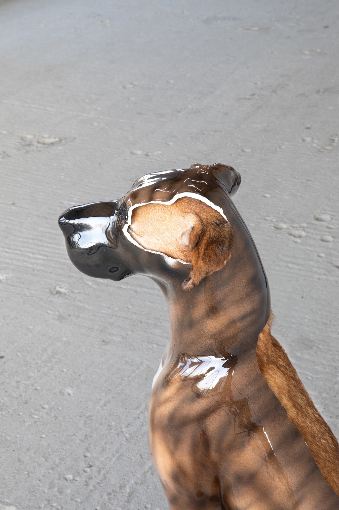 Marcel Walldorf, Sankt Bernetto, 2020, 95 × 30 × 40 cm, Italian porcelain, taxidermied dog