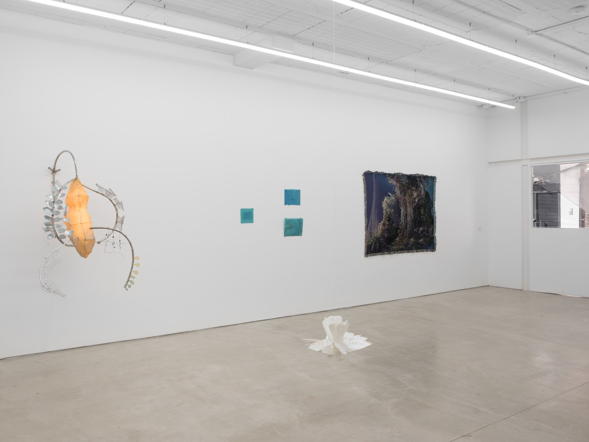 From left to right: Naomi Maury, Irene Molina, Ju Young Kim, Simon Speiser