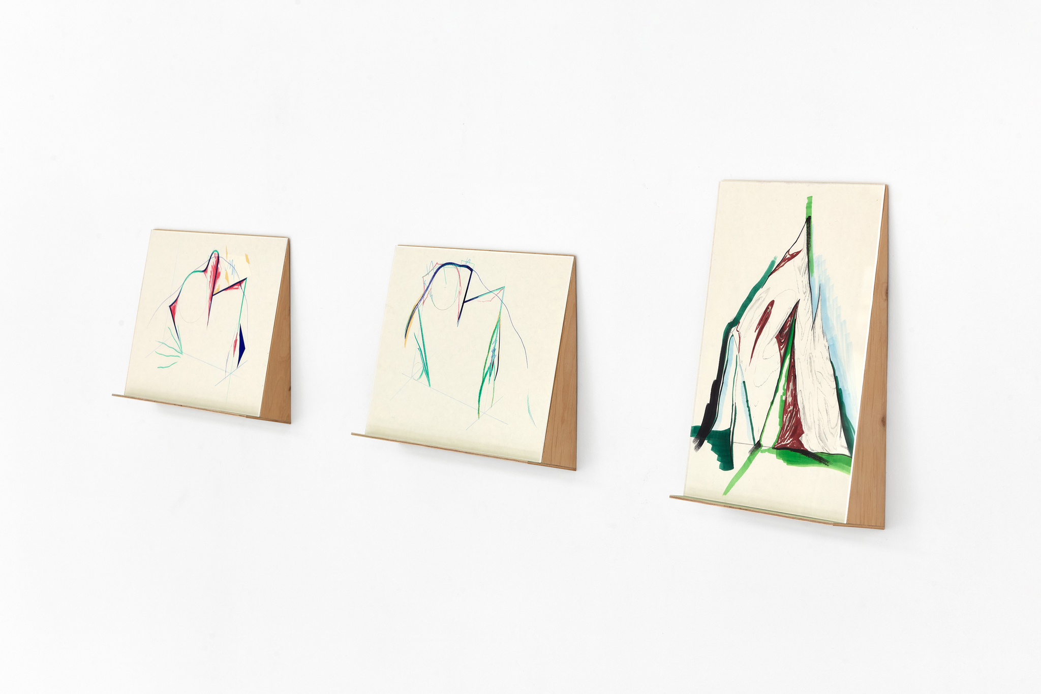 Zsolt Molnár: Foliage Head, Kisterem Gallery, 2026