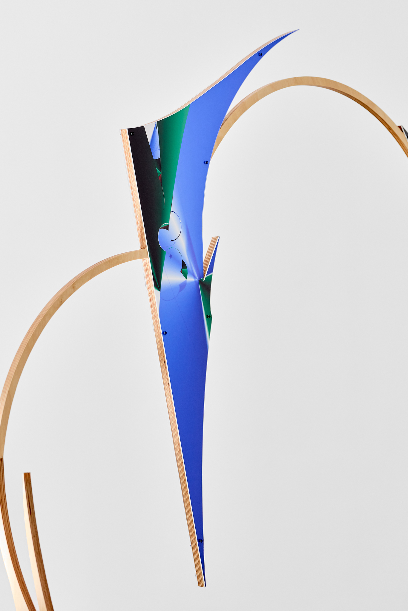 Zsolt Molnár: Foliage Head, Kisterem Gallery, 2026