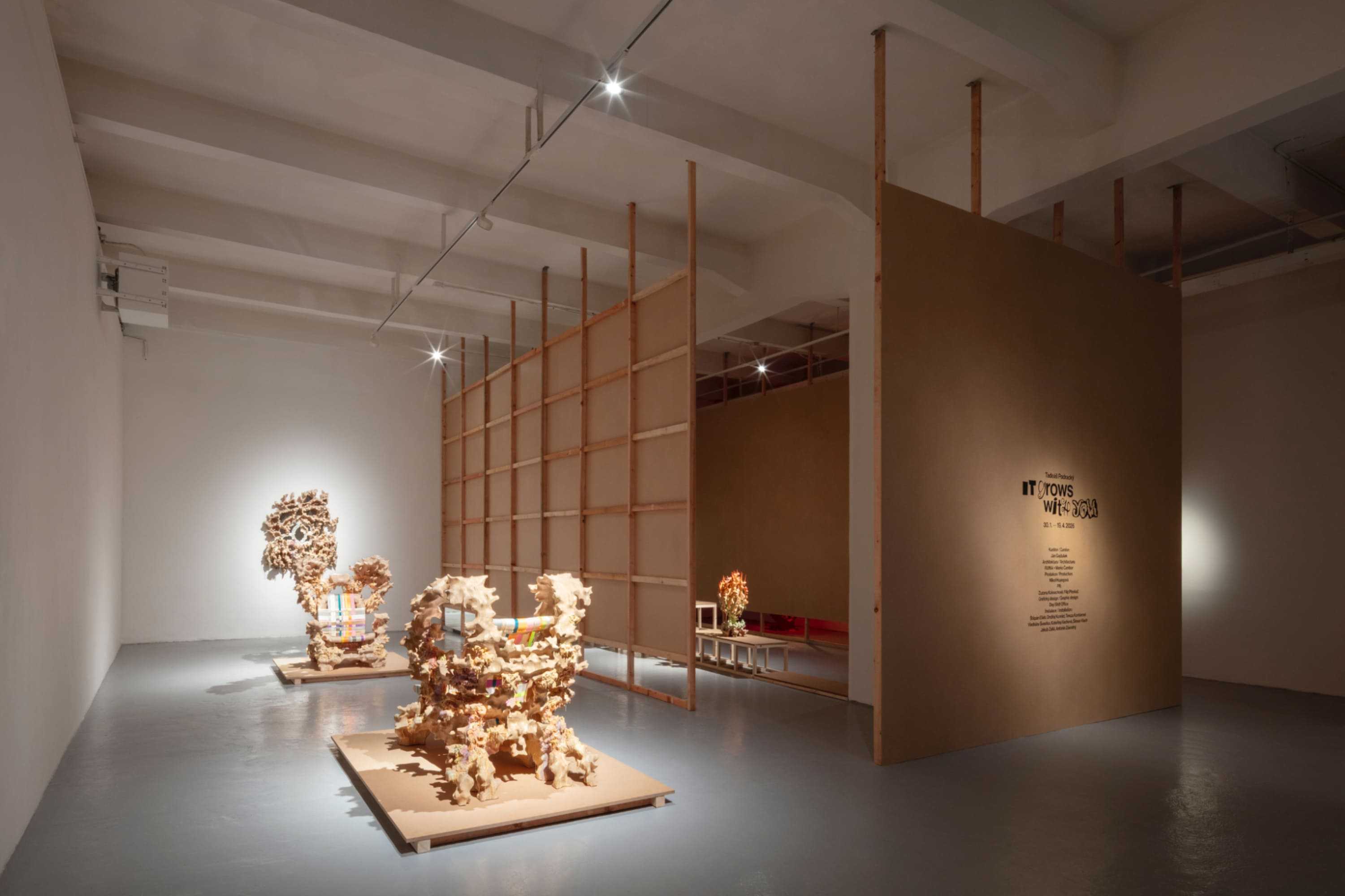 It Grows With You, 2026, exhibition view, MeetFactory