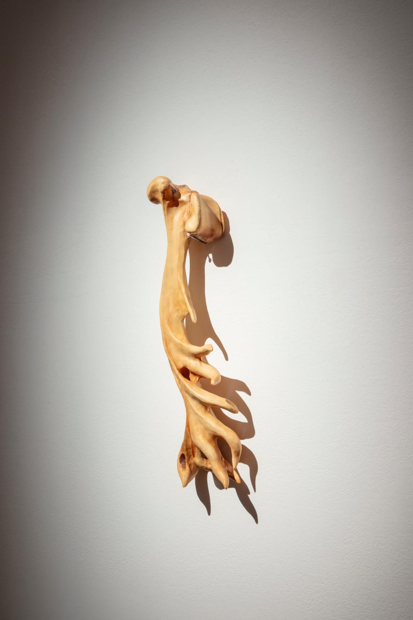 Sprouting bone, 2023; exhibition view from It Grows With You, 2026, MeetFactory