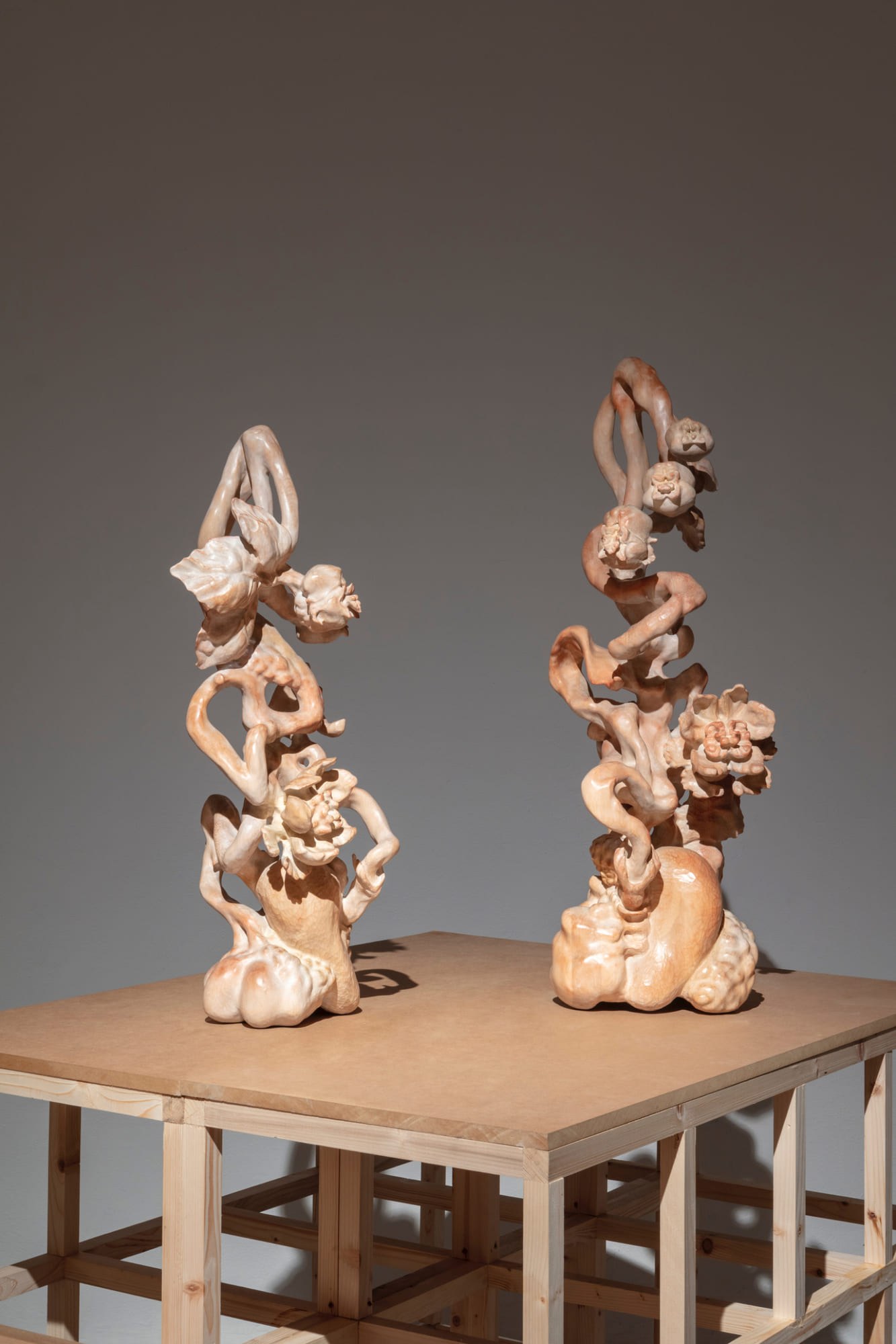 Fertile Seed II (left), 2025; Fertile Seed I (right), 2025; exhibition view from It Grows With You, 2026, MeetFactory