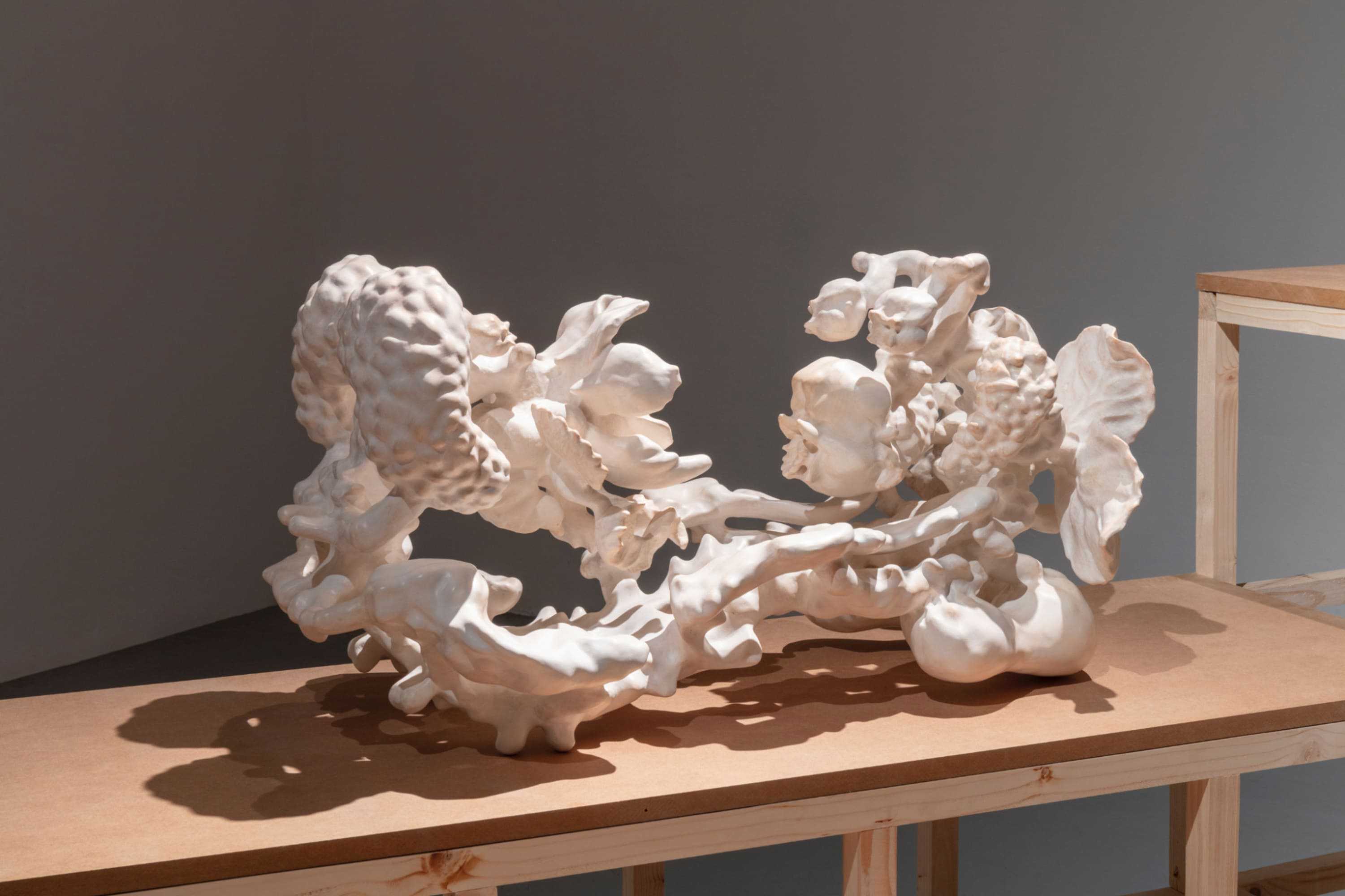 Self-pollinating graft, 2025; exhibition view from It Grows With You, 2026, MeetFactory