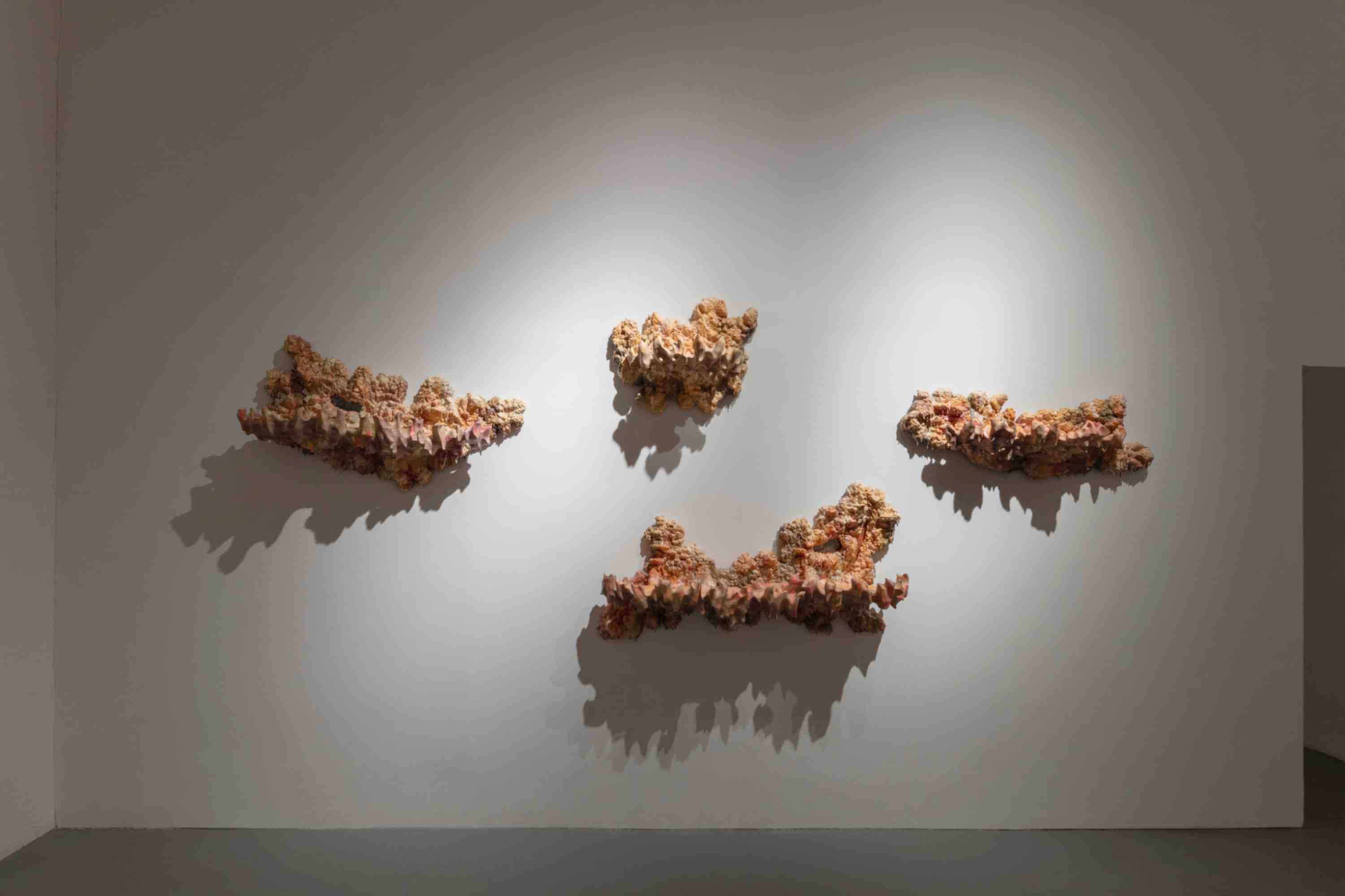 It Grows With You, 2026, exhibition view, MeetFactory