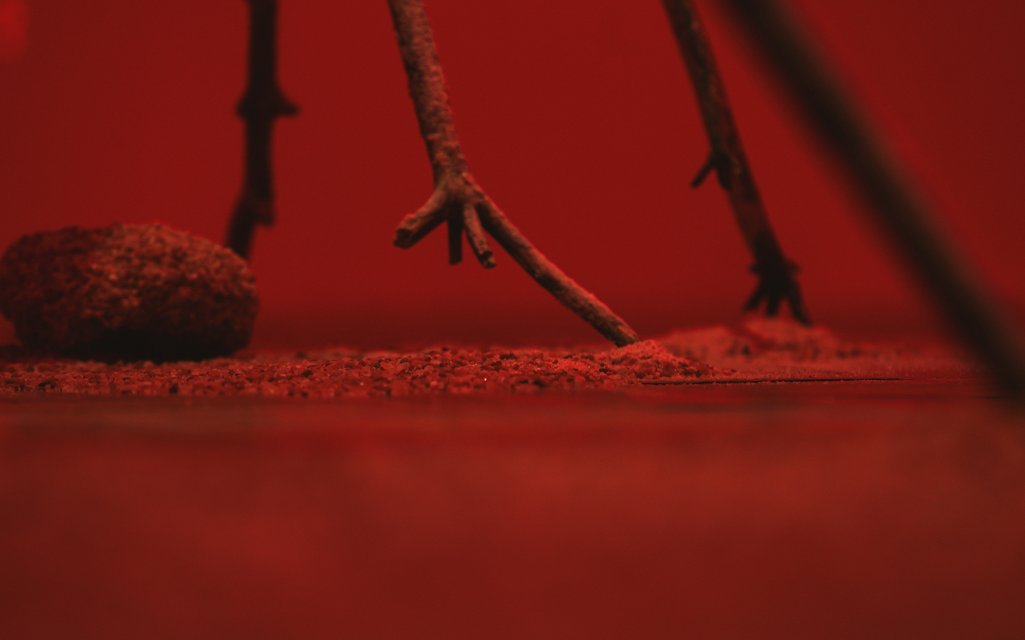 Šárka Koudelová, Sol, 2026, installation view, Museum of Arts and Design in Benešov, CZ