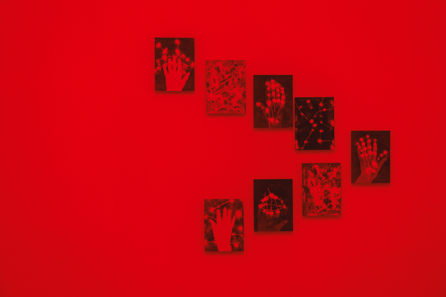 Šárka Koudelová, Sol, 2026, installation view, Museum of Arts and Design Benešov, CZ