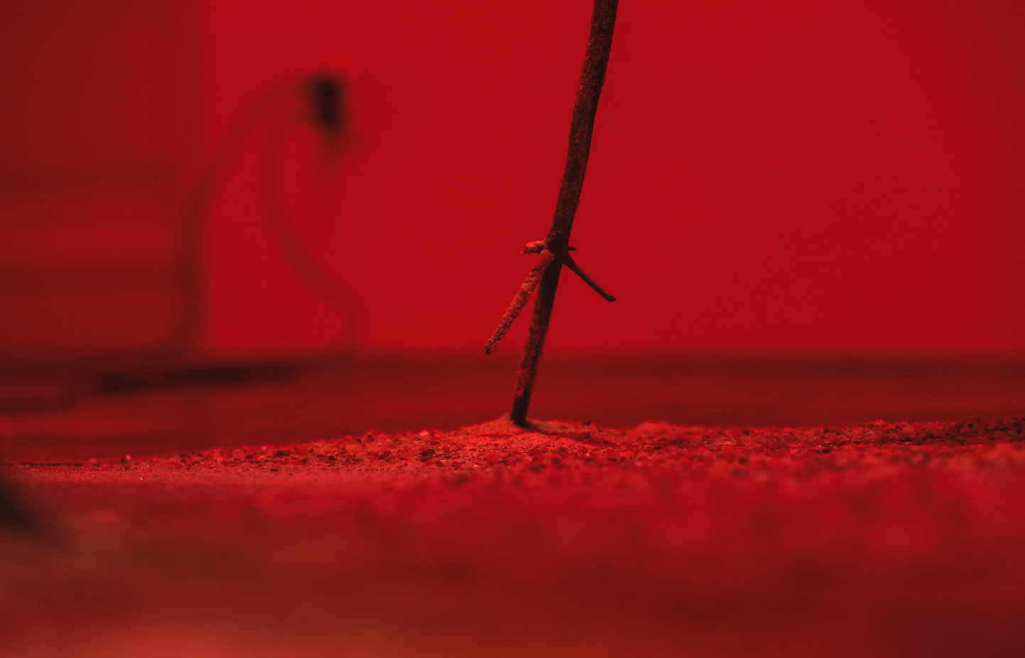 Šárka Koudelová, Sol, 2026, installation view, Museum of Arts and Design Benešov, CZ