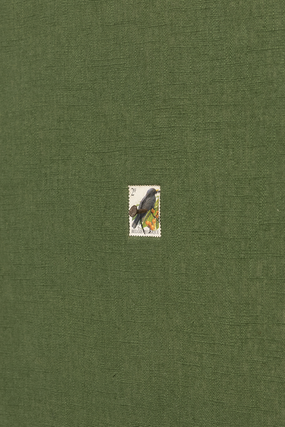 Nothing new upon the ground, André Vaz