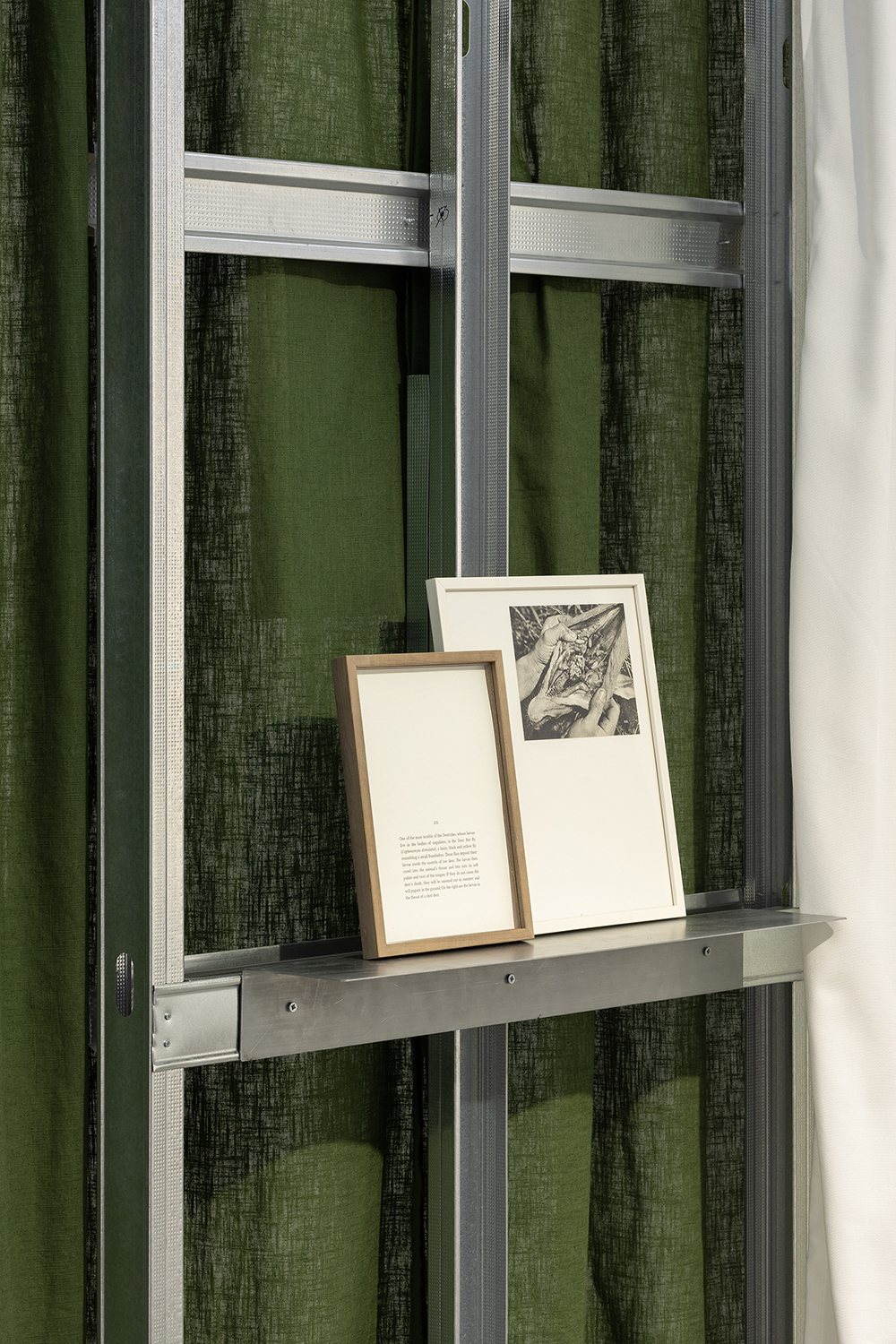 Nothing new upon the ground, André Vaz