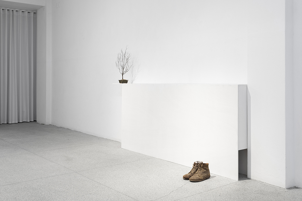 Nothing new upon the ground, André Vaz