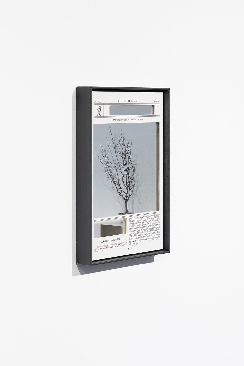 Nothing new upon the ground, André Vaz