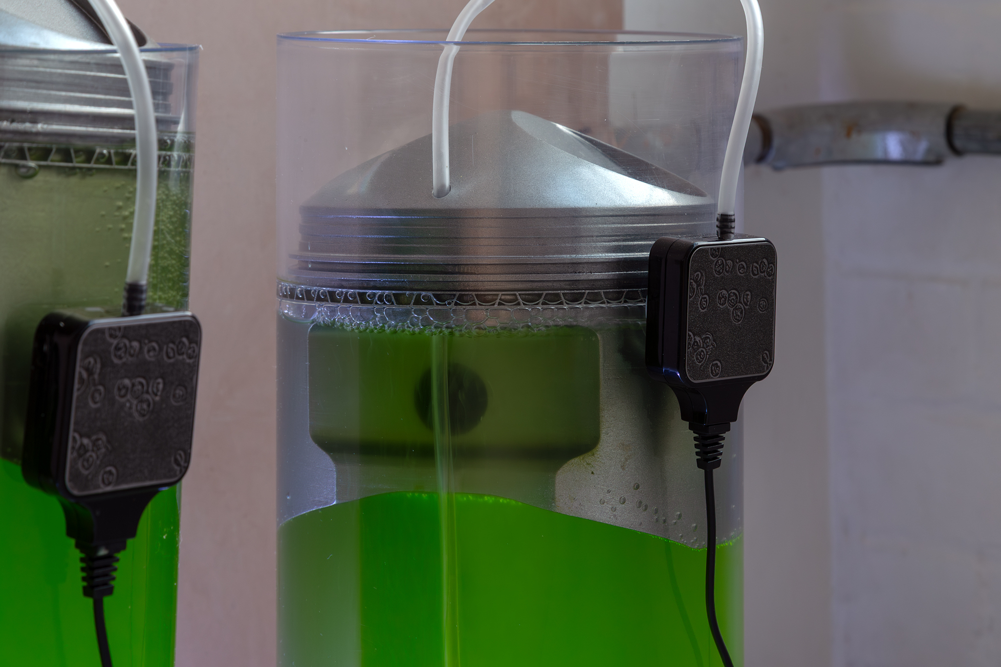 Primary Productivity, 2026. Chlorella vulgaris phytoplankton, water, grow lamp, aerators, PLA, acrylic, automotive paint. Anna Usadi